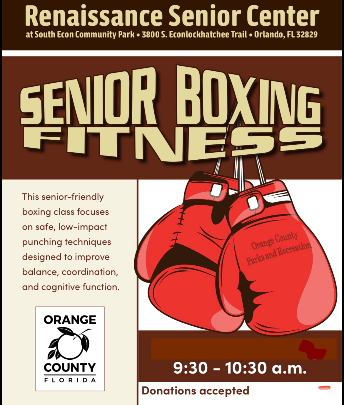 Senior Boxing Fitness