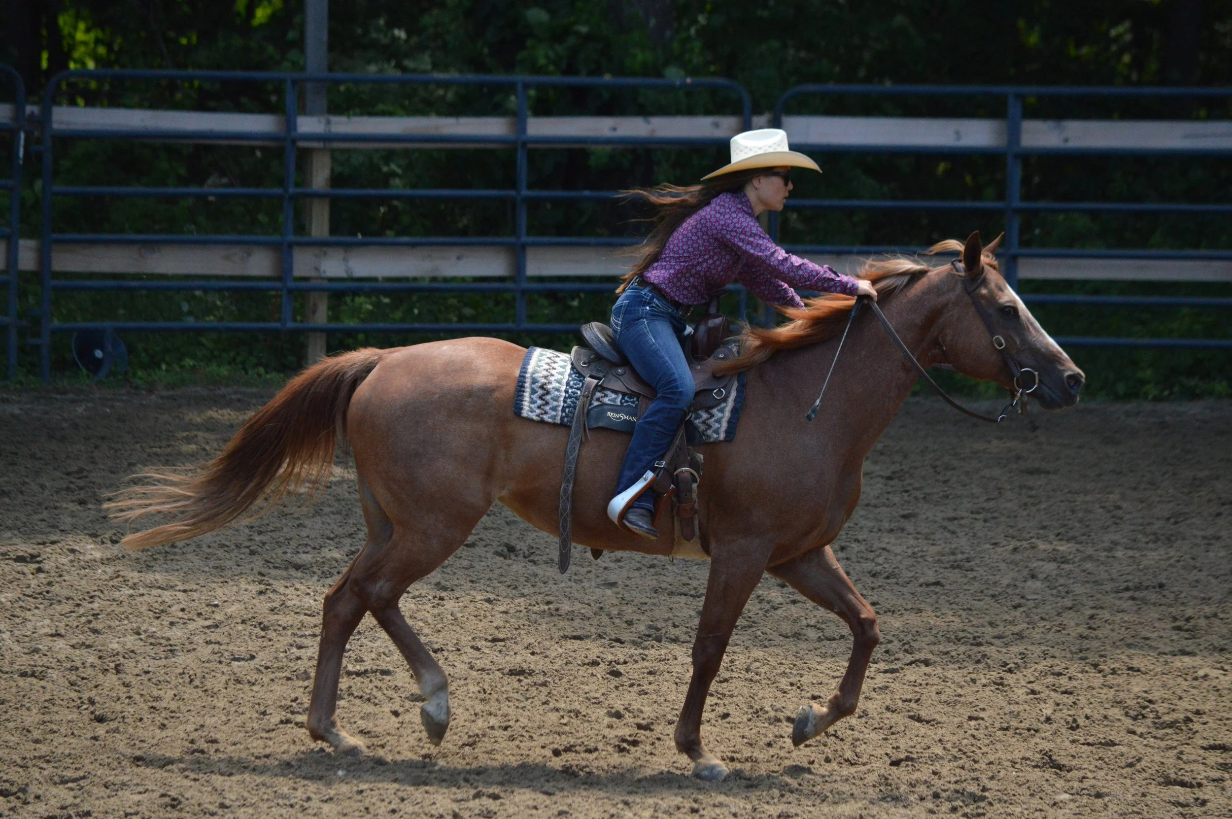 A woman wearing a cowboy hat, sunglasses, purple patterned shirt, and jeans riding a brown horse across a dirt arena, with trees and a blue fence in the background.