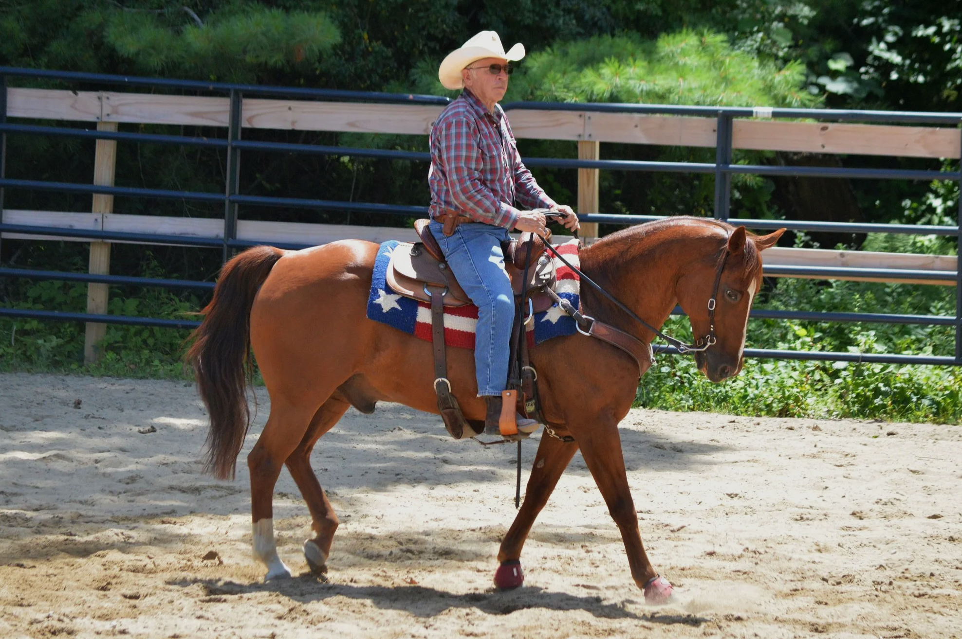 Cattle Penning