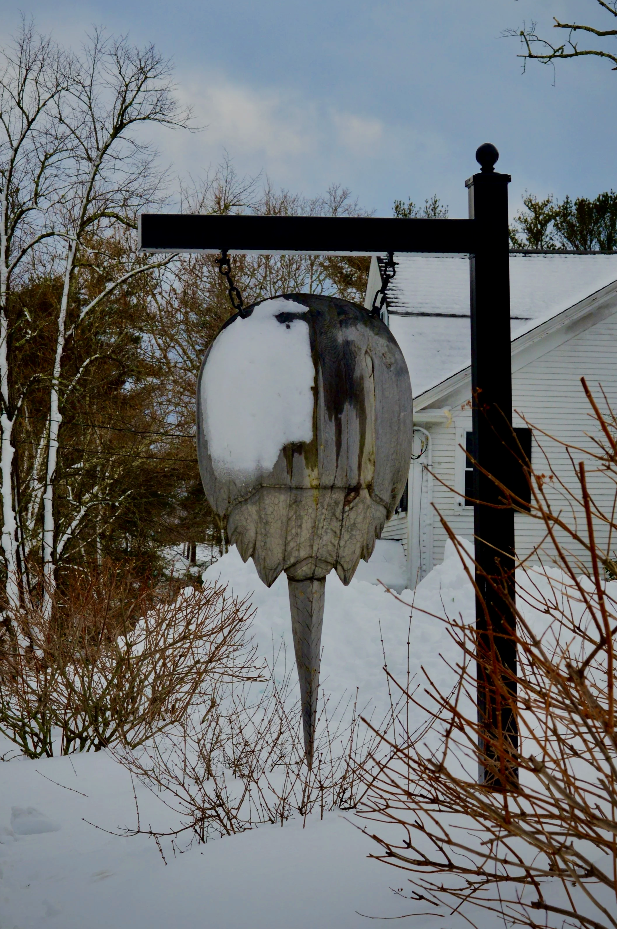 DSC_0607+2.png
