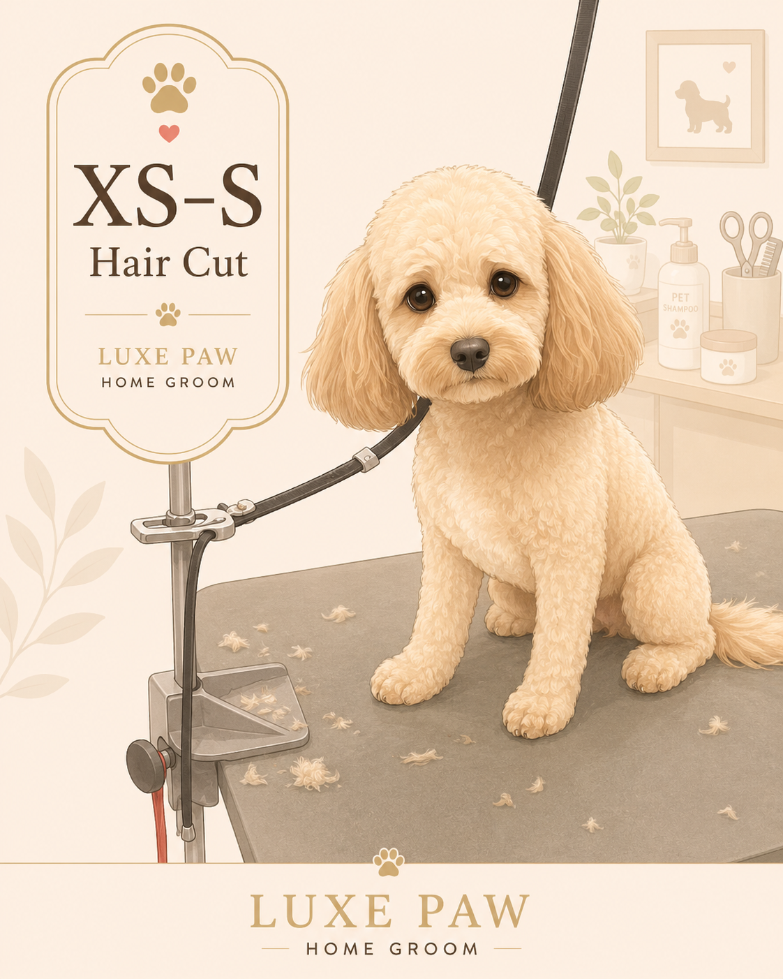 XS–S Dog Haircut (0–20 lbs)