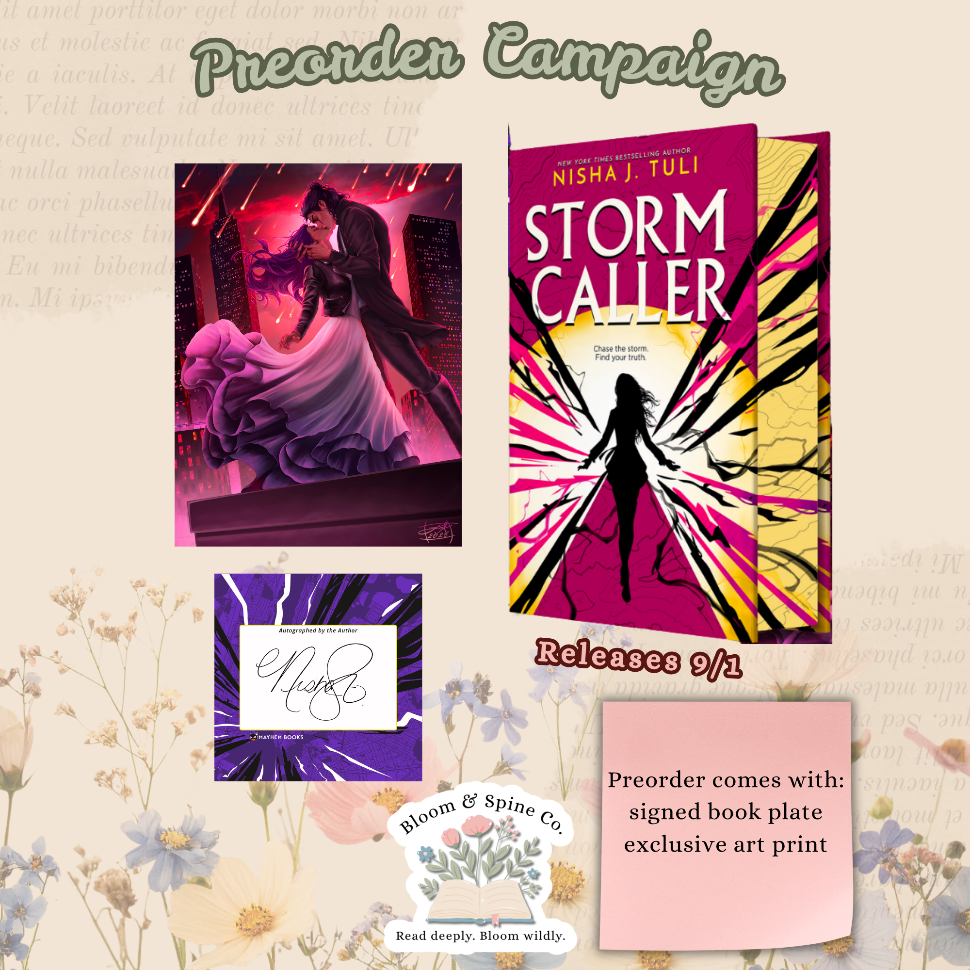 storm caller pg 1.png