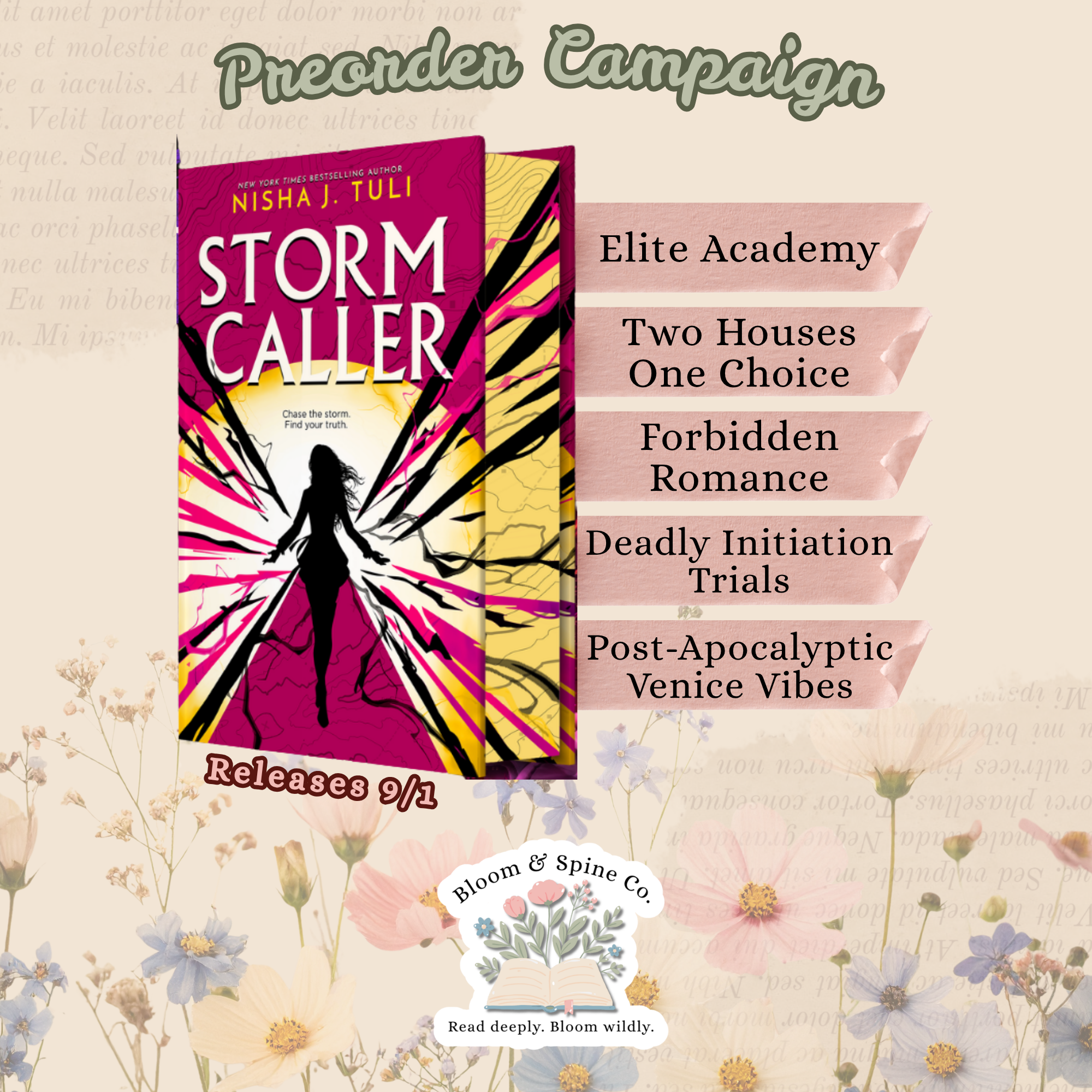 storm caller pg 2.png