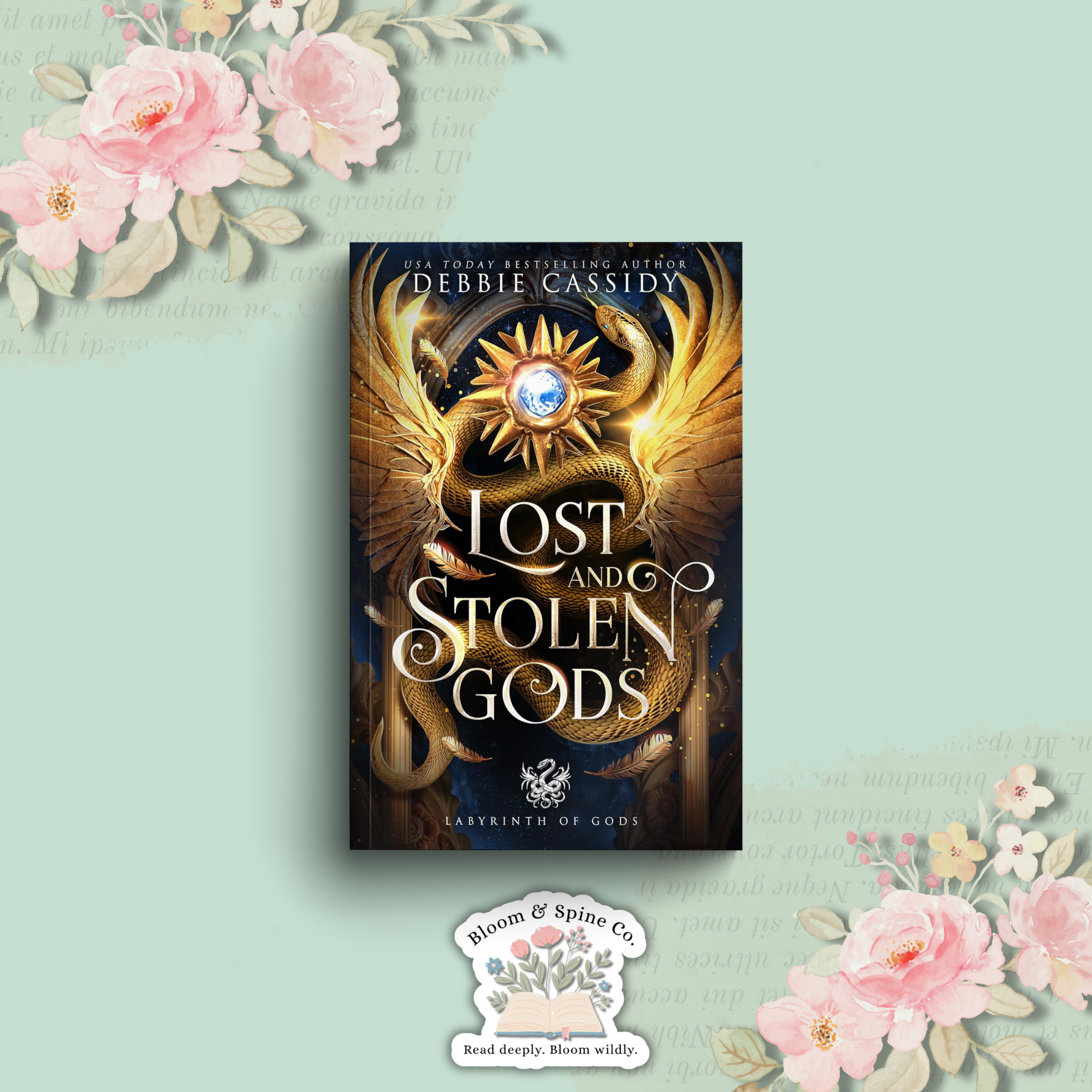 Lost and Stolen Gods by Debbie Cassidy **SIGNED BOOKPLATE**