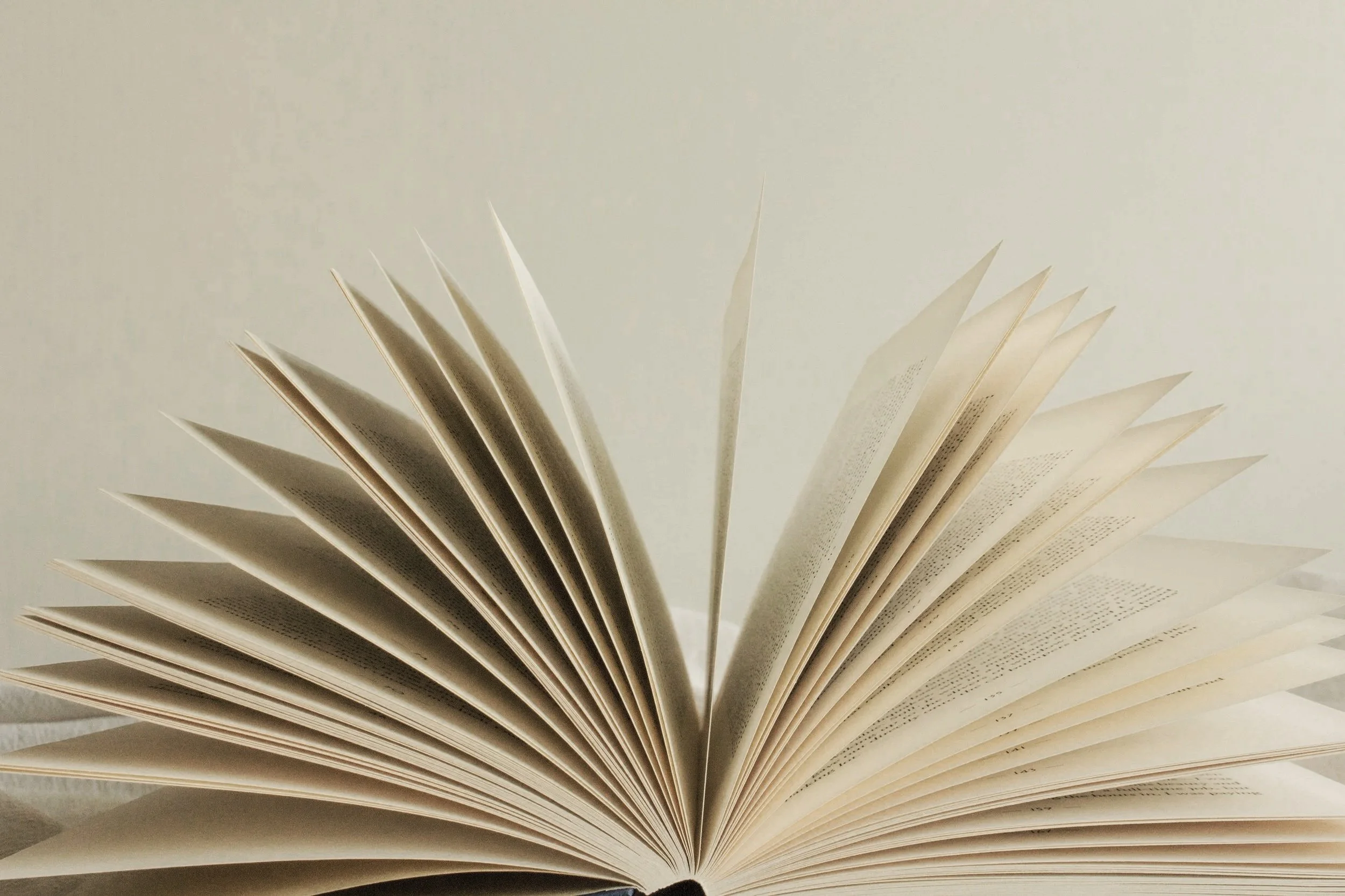 Open book with pages fanned out, set against a plain, light background.