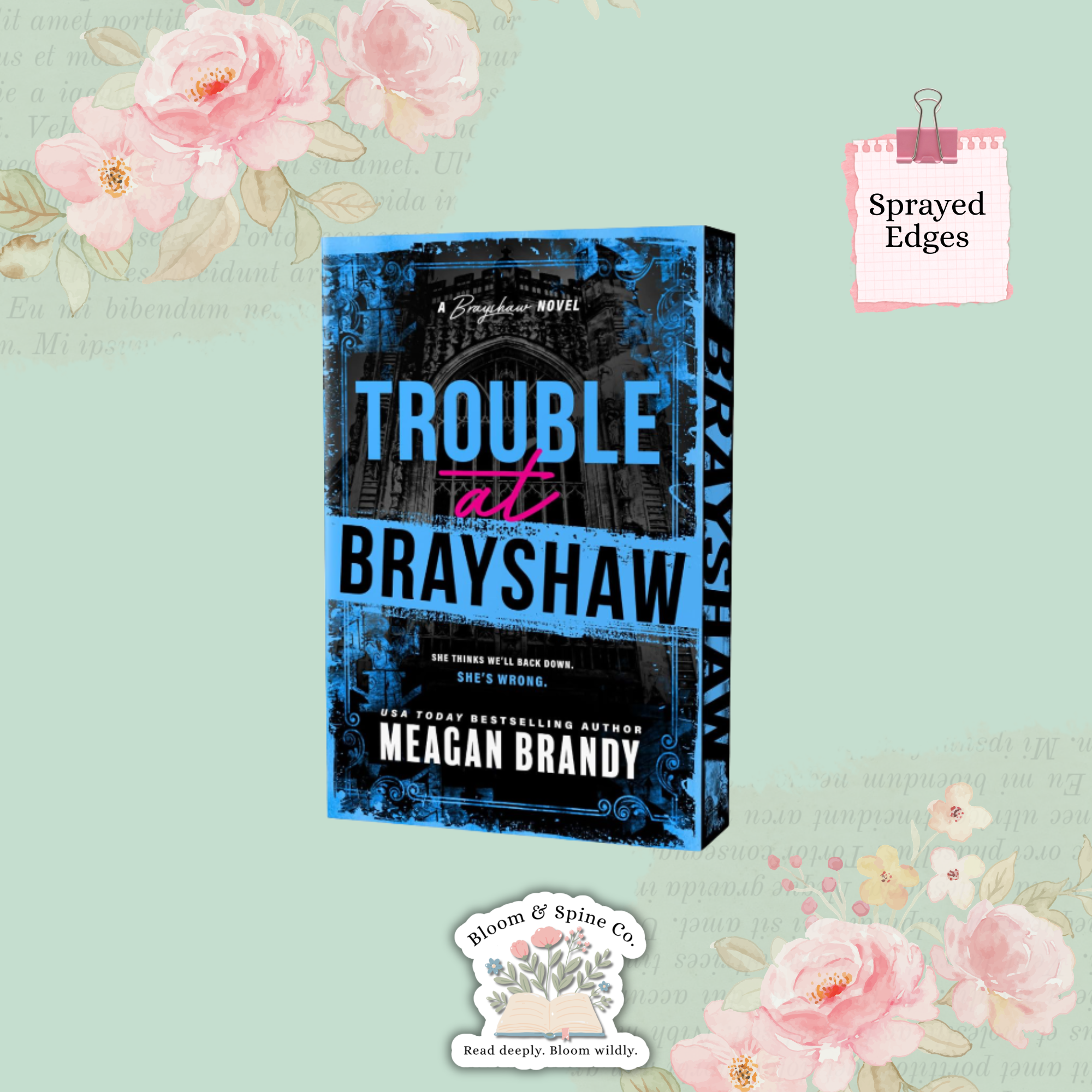 Trouble at Brayshaw by Meagan Brandy (Deluxe Edition)