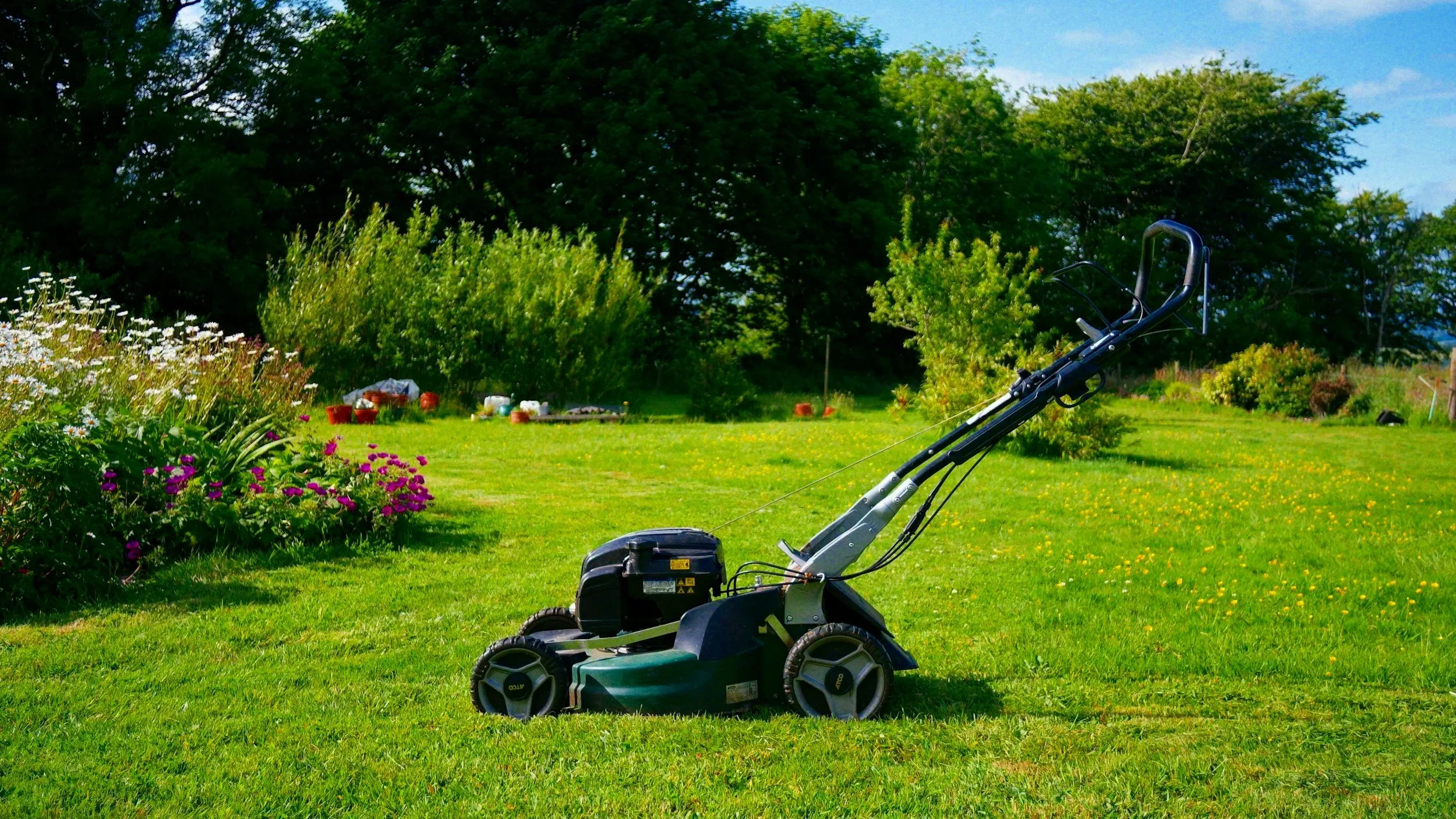 Lawn mowing and maintenance service for St. Augustine grass in Lake Mary Florida