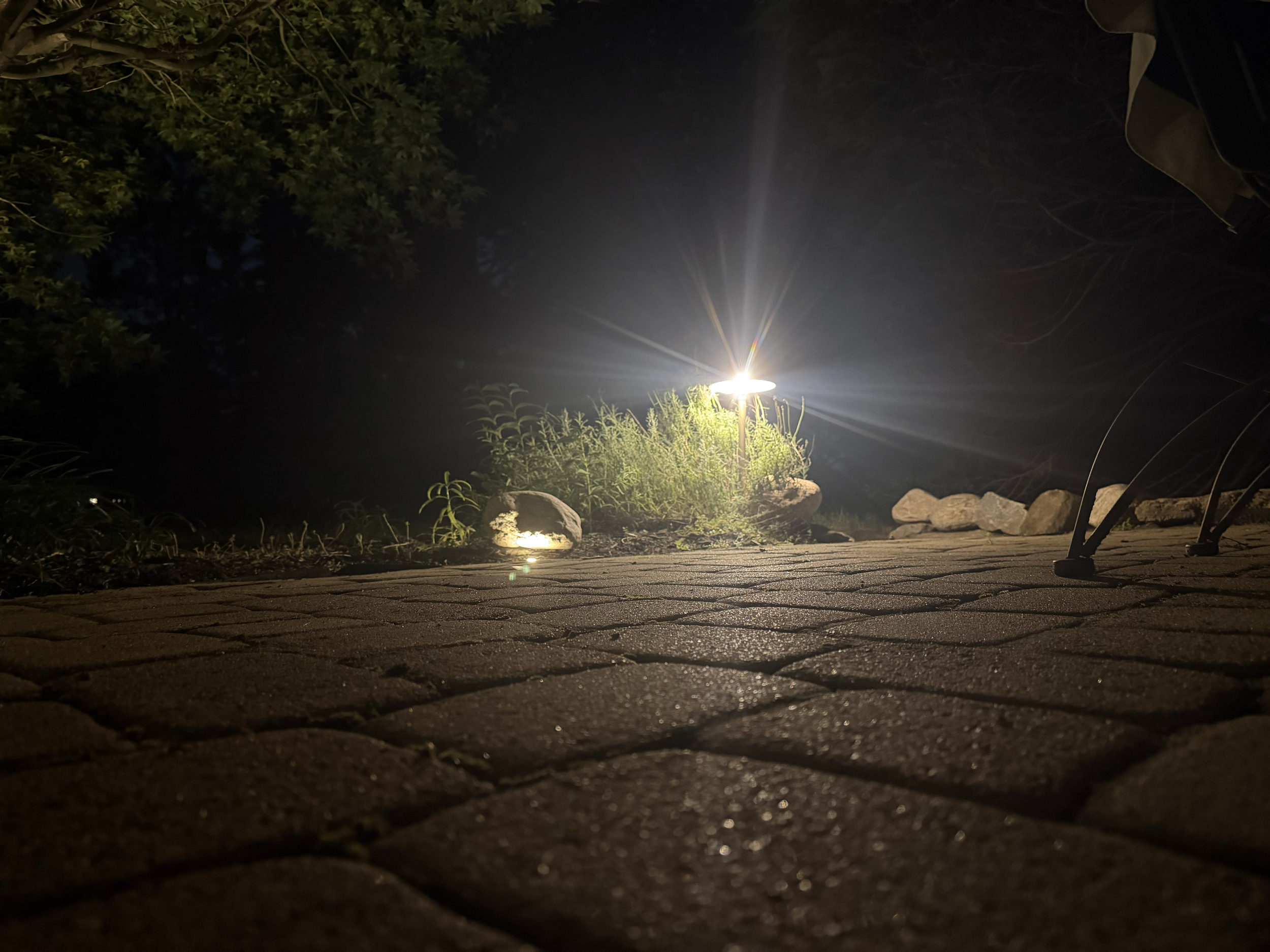 A nighttime scene with a bright outdoor light illuminating surrounding plants and rocks, with dark trees and sky in the background.