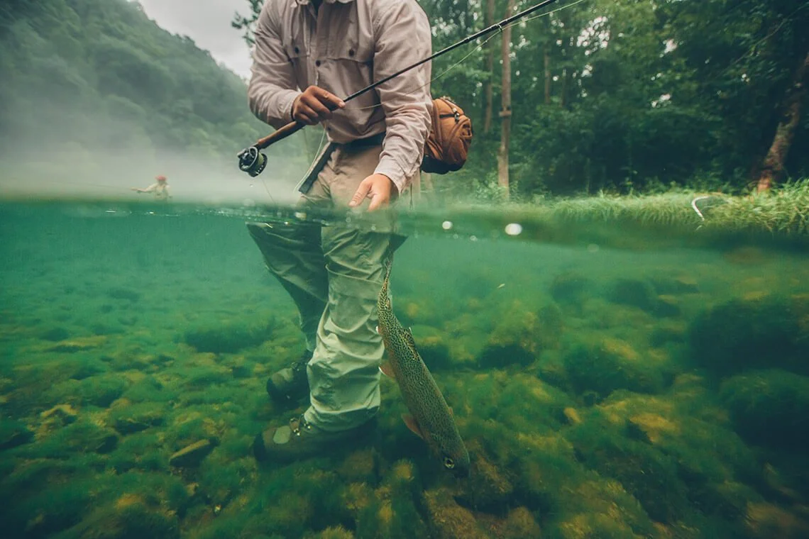 Person standing in a stream fly fishing with a fish on the line, surrounded by lush greenery.