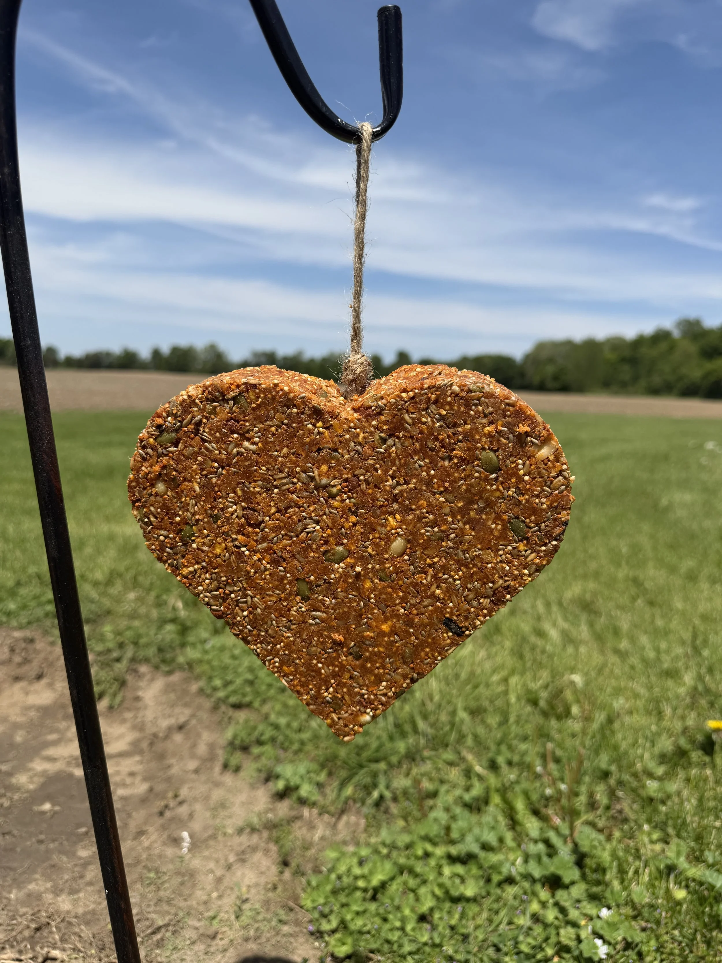 Heart