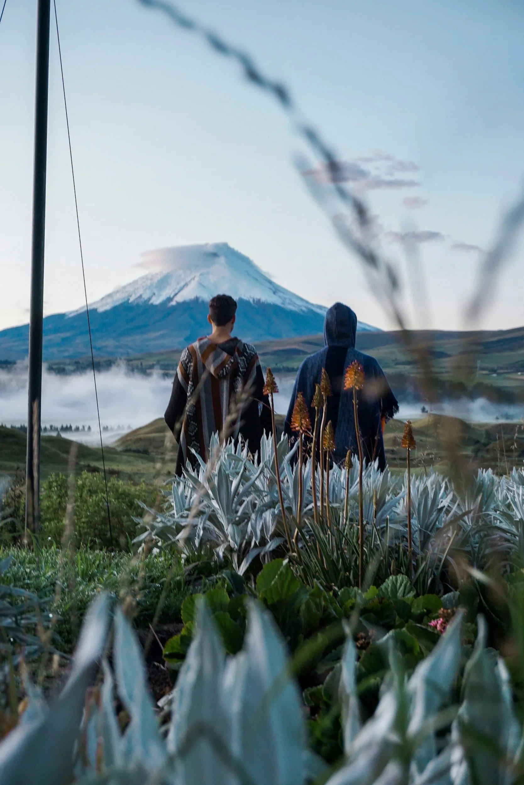 Discover Quiet Luxury in Ecuador