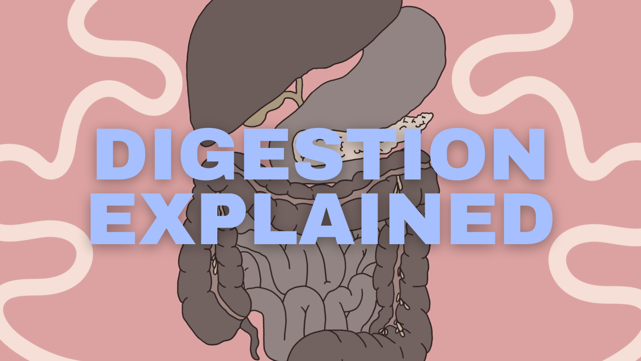 why everyone processes food differently