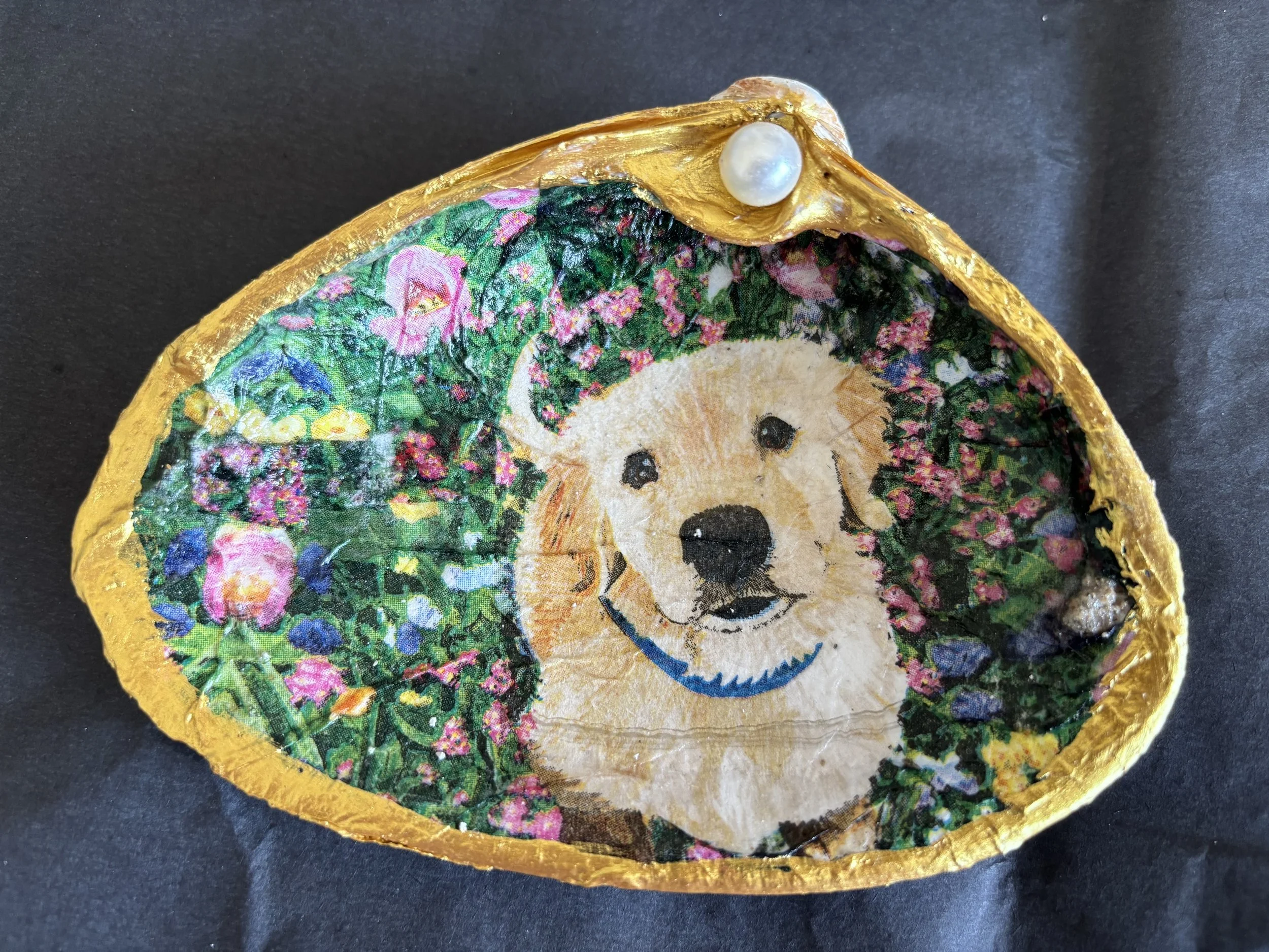 Garden Boy Dog Shell