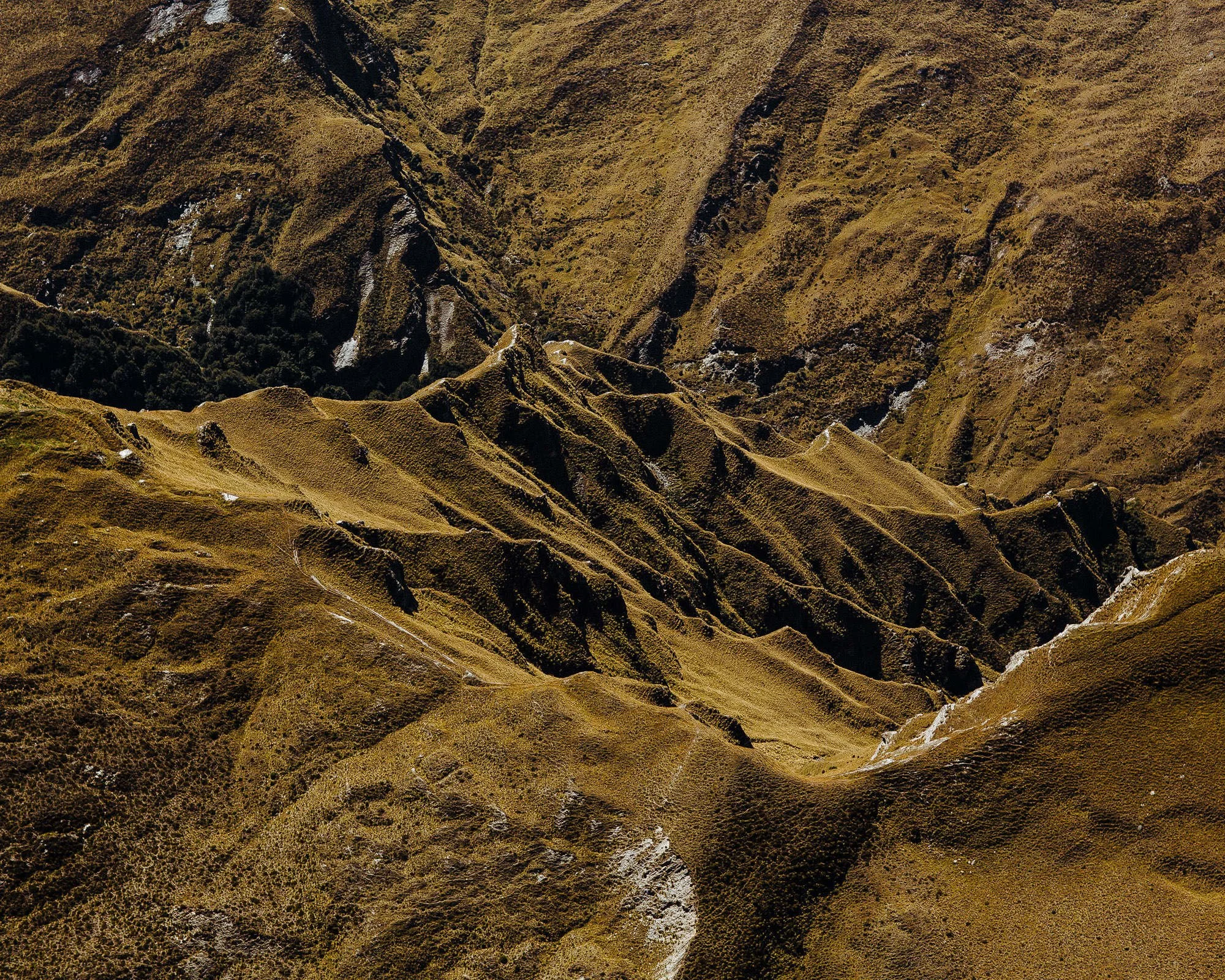 New Zealand IV 2015.jpg