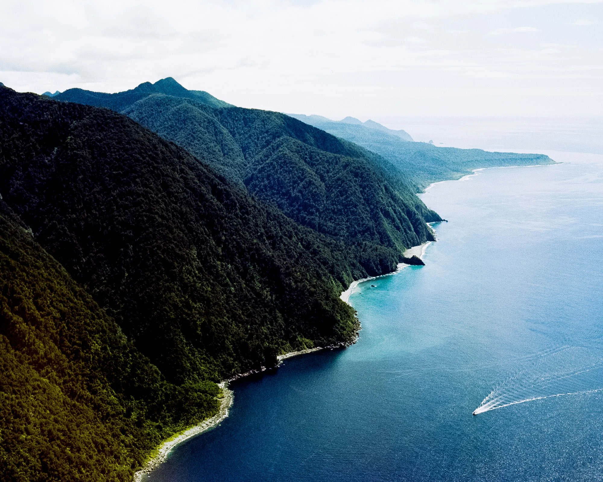 New Zealand II 2015.jpg