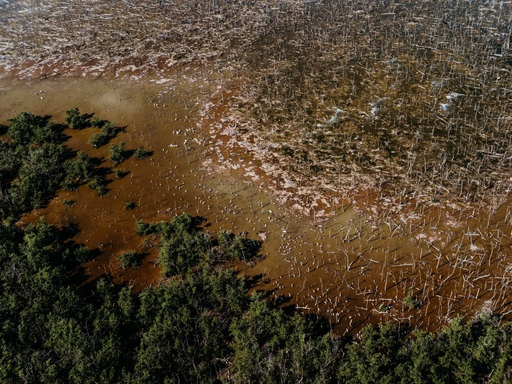 Florida II 2019.jpg