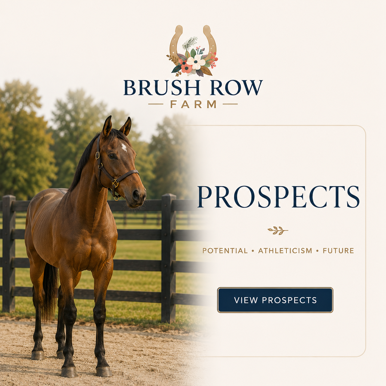 Prospects