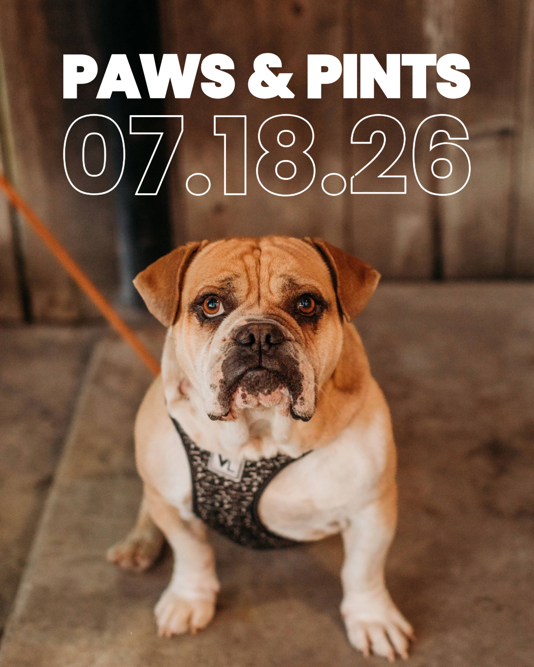 Paws & Pints