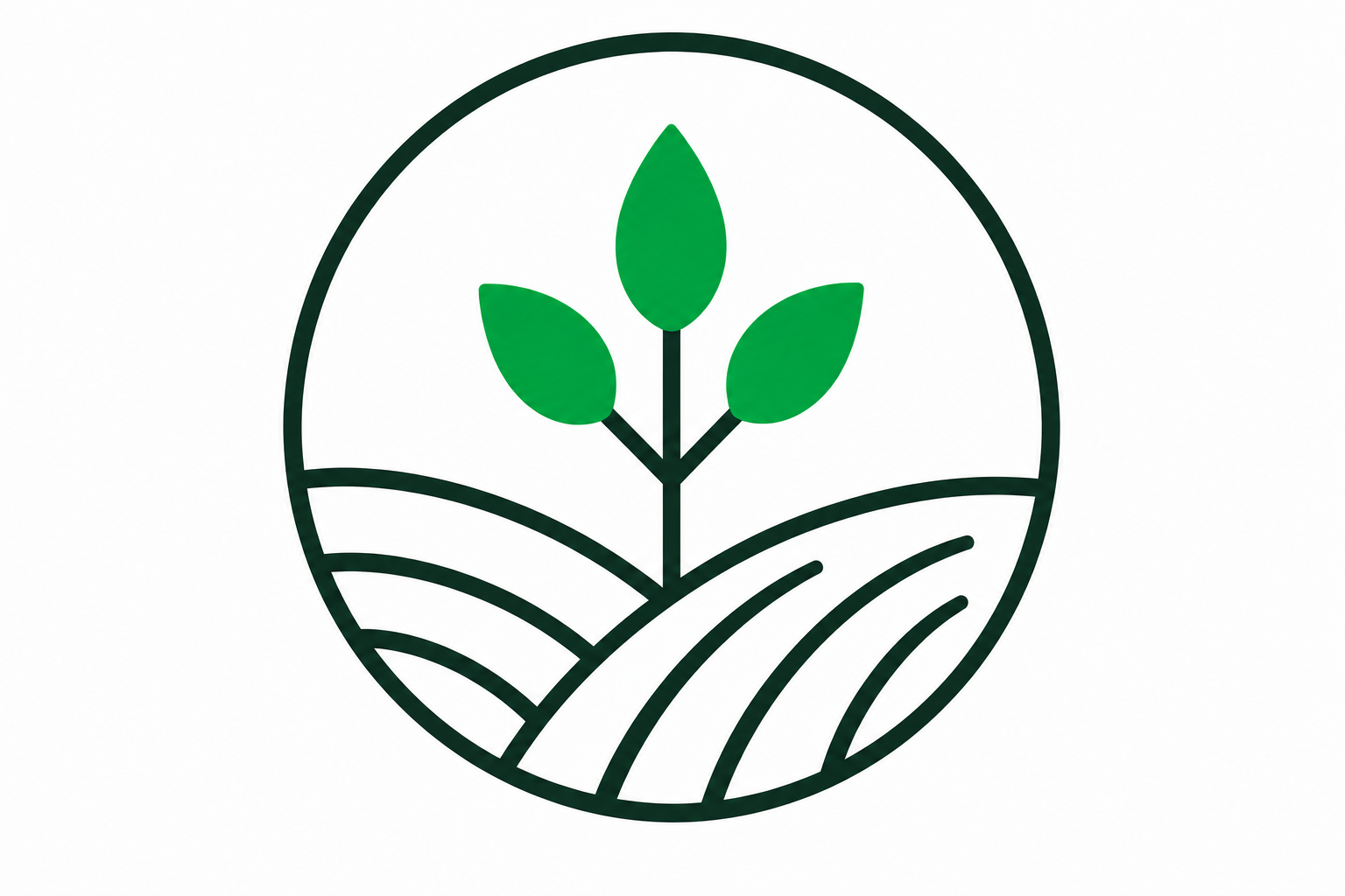 Food Systems &amp; Value Added Production