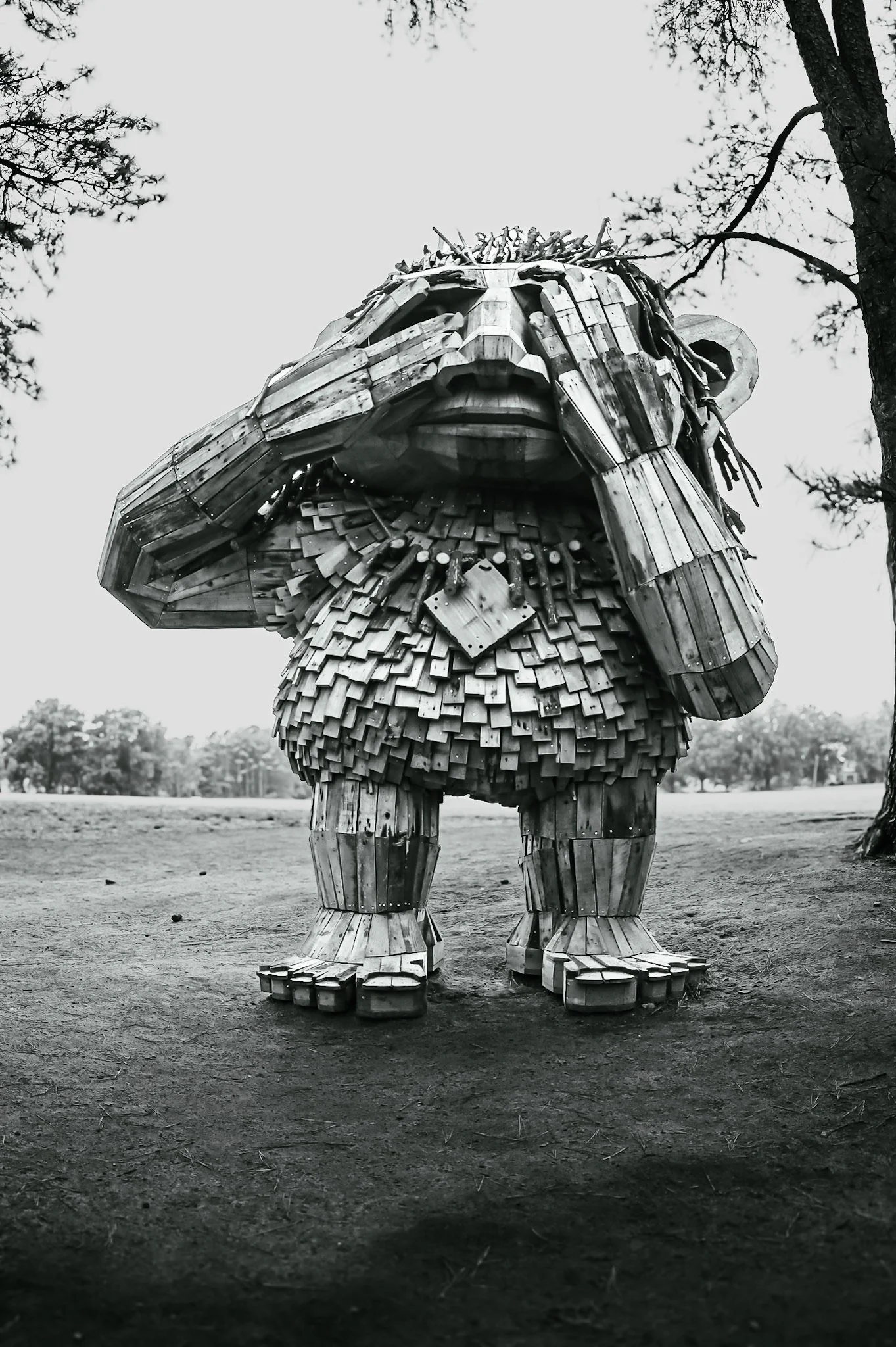 A large sculpture of a lion made from wooden planks and pieces, standing outdoors in a park with trees in the background, in black and white.