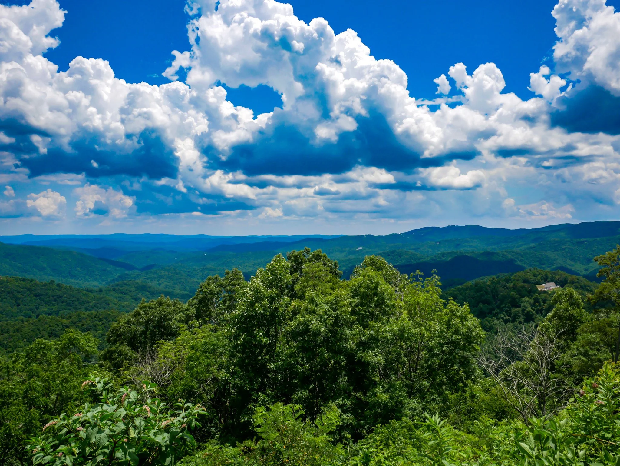 View of rolling green hills with lush trees in the foreground, and a distant mountain range under a bright blue sky with fluffy white clouds.