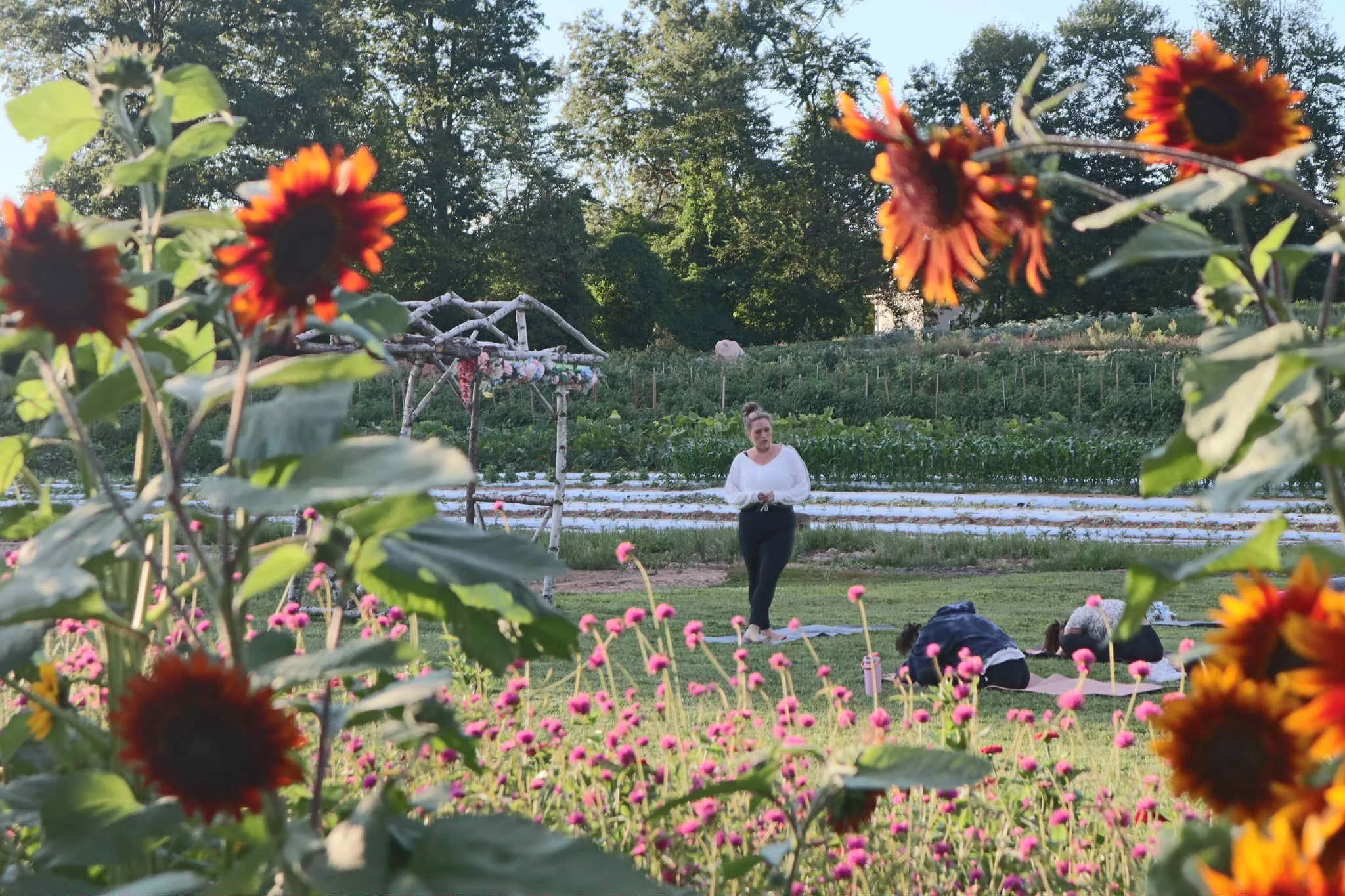 Farm Flow Saturday 8/22