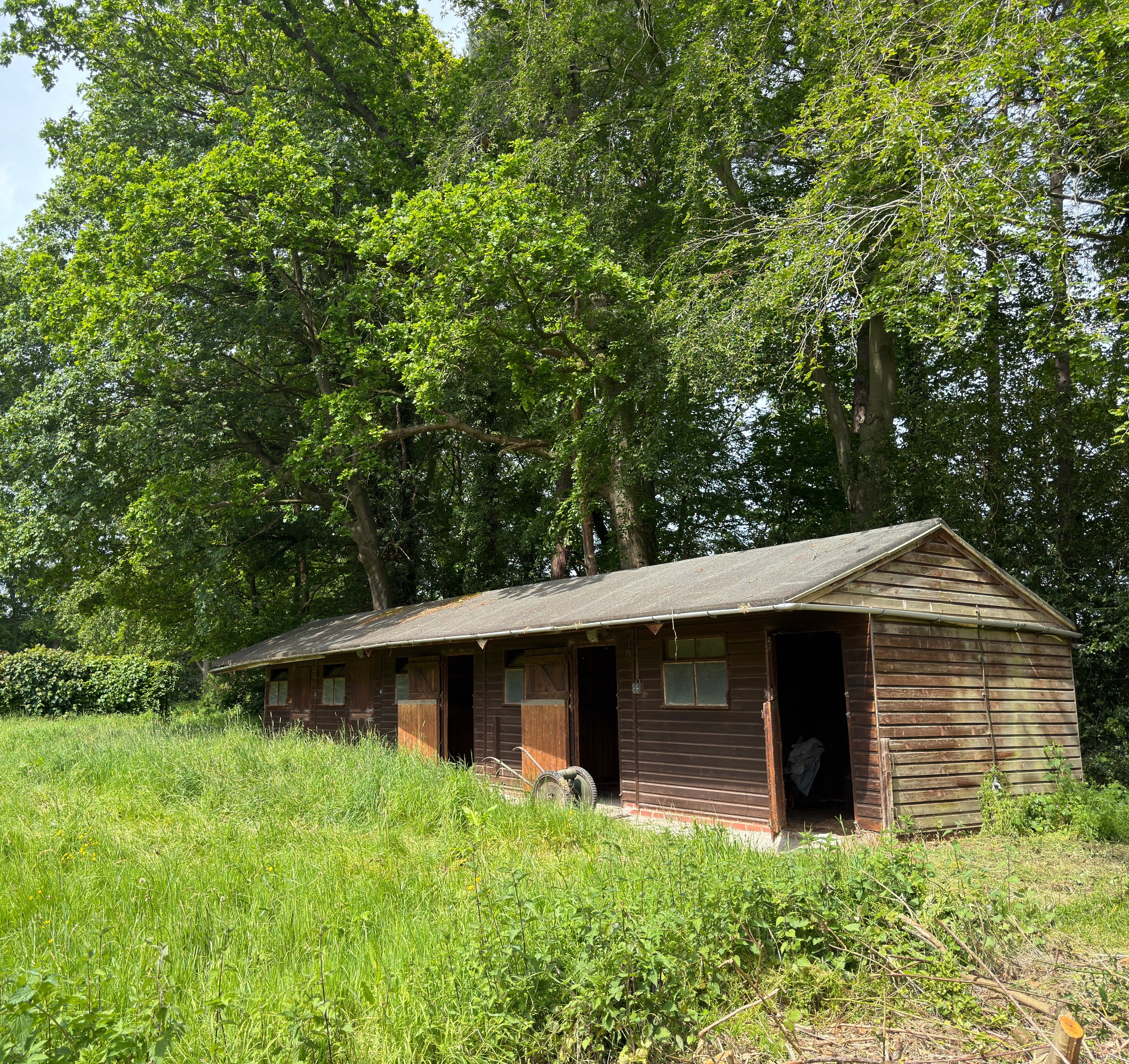 A wooden shed with a shingle roof located in a grassy yard, with large trees in the background providing shade.