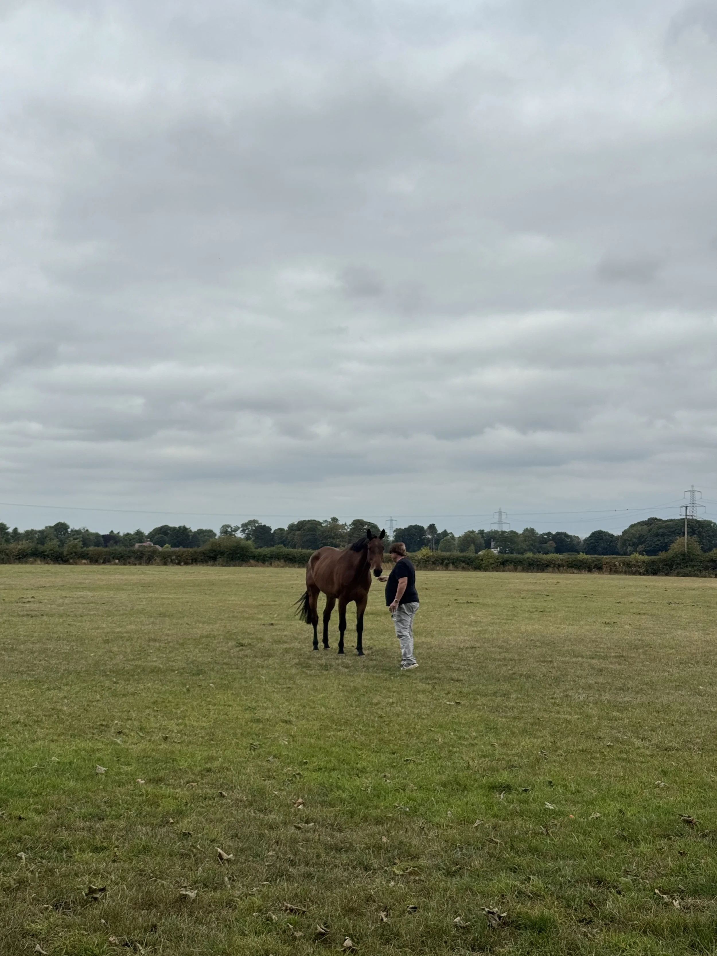 A man standing next to a brown horse in an open grassy field under a cloudy sky, with trees and power lines in the background.