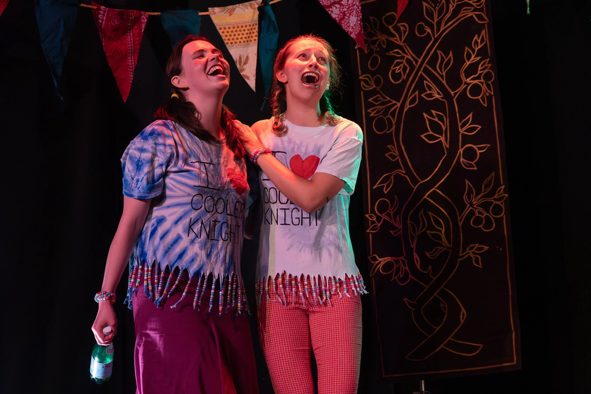 AKnightWithoutAQuest_MTLFringe2026-9418.jpg