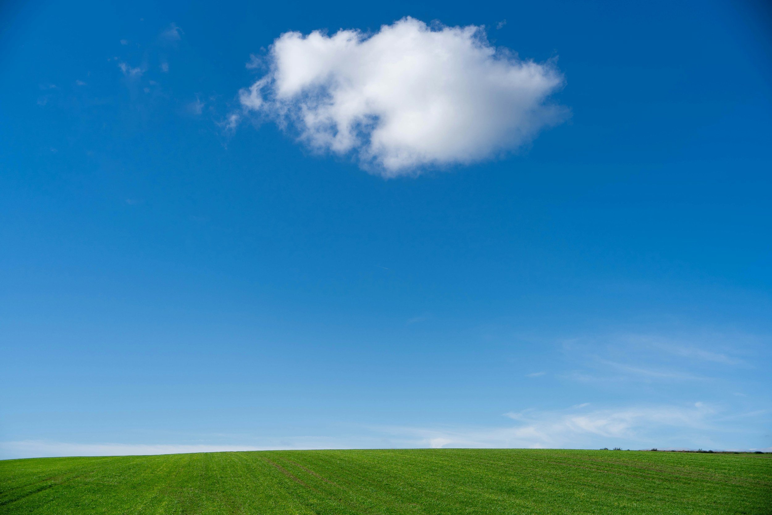 A wide view of a green grassy field with a clear blue sky and a single white cloud.