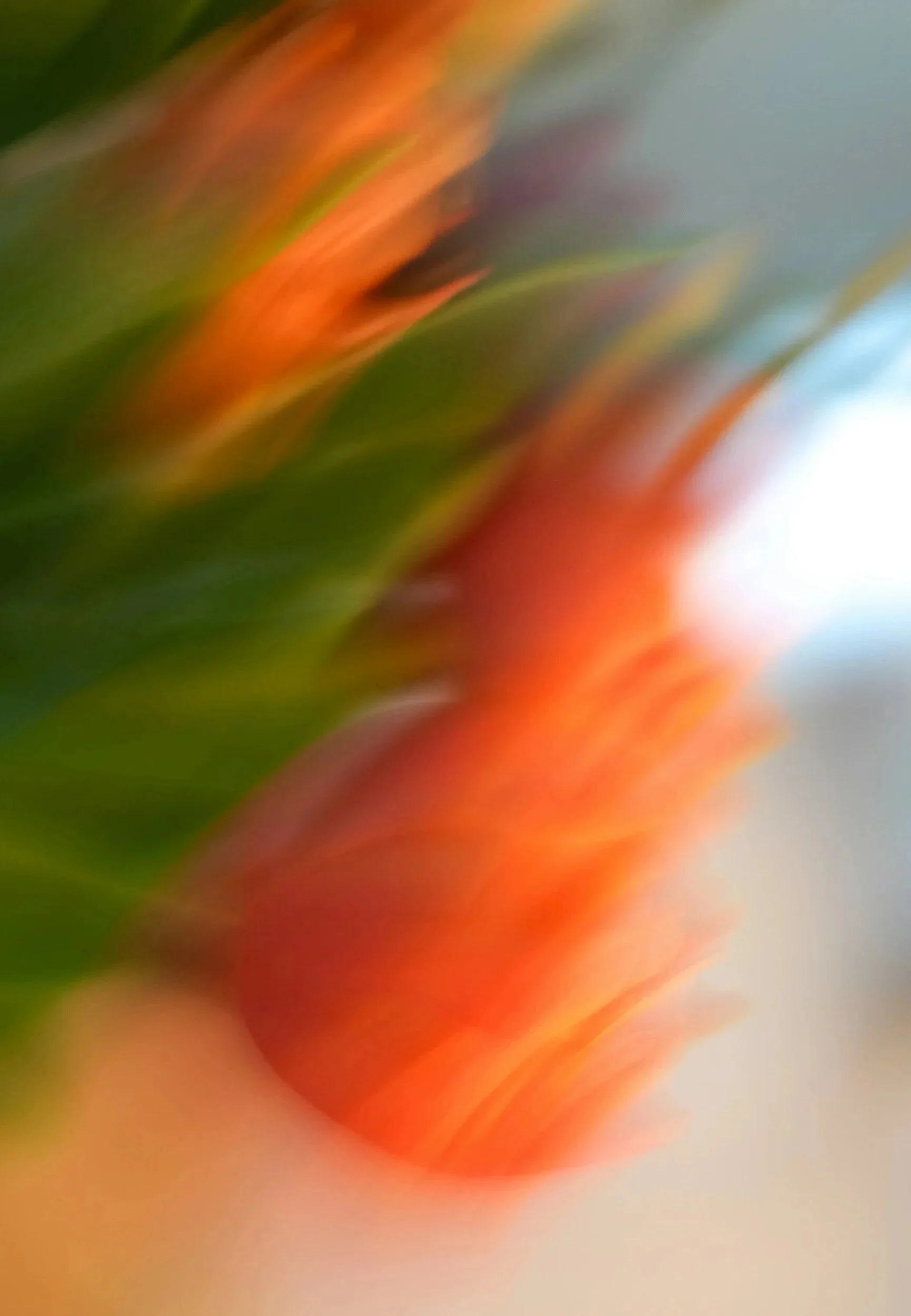 Abstract blurred image with streaks of red, orange, green, gray, and white colors.