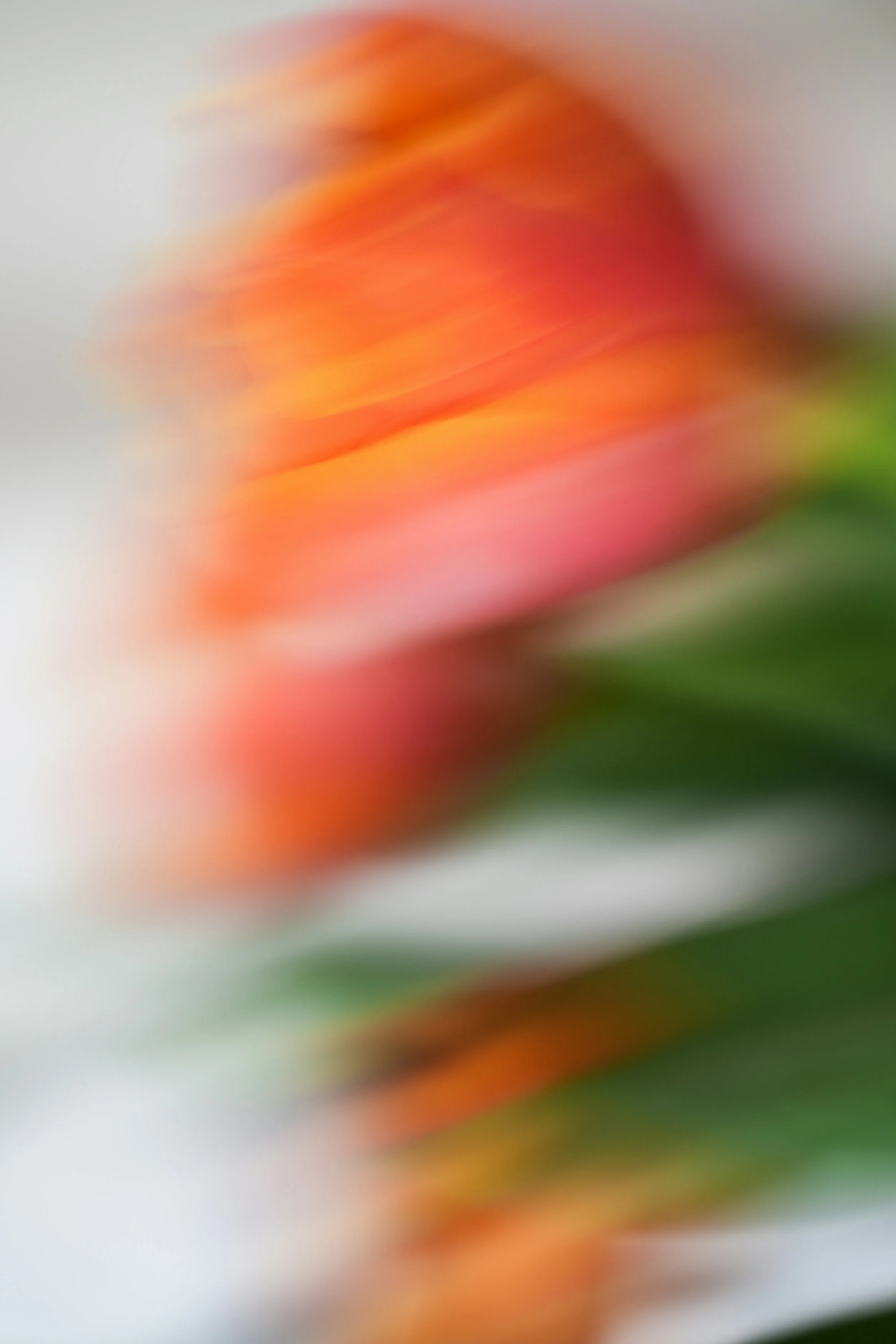 Blurred image with warm colors, mostly orange, red, yellow, and some green.