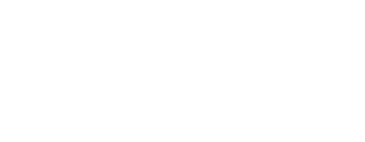Ostler Therapy