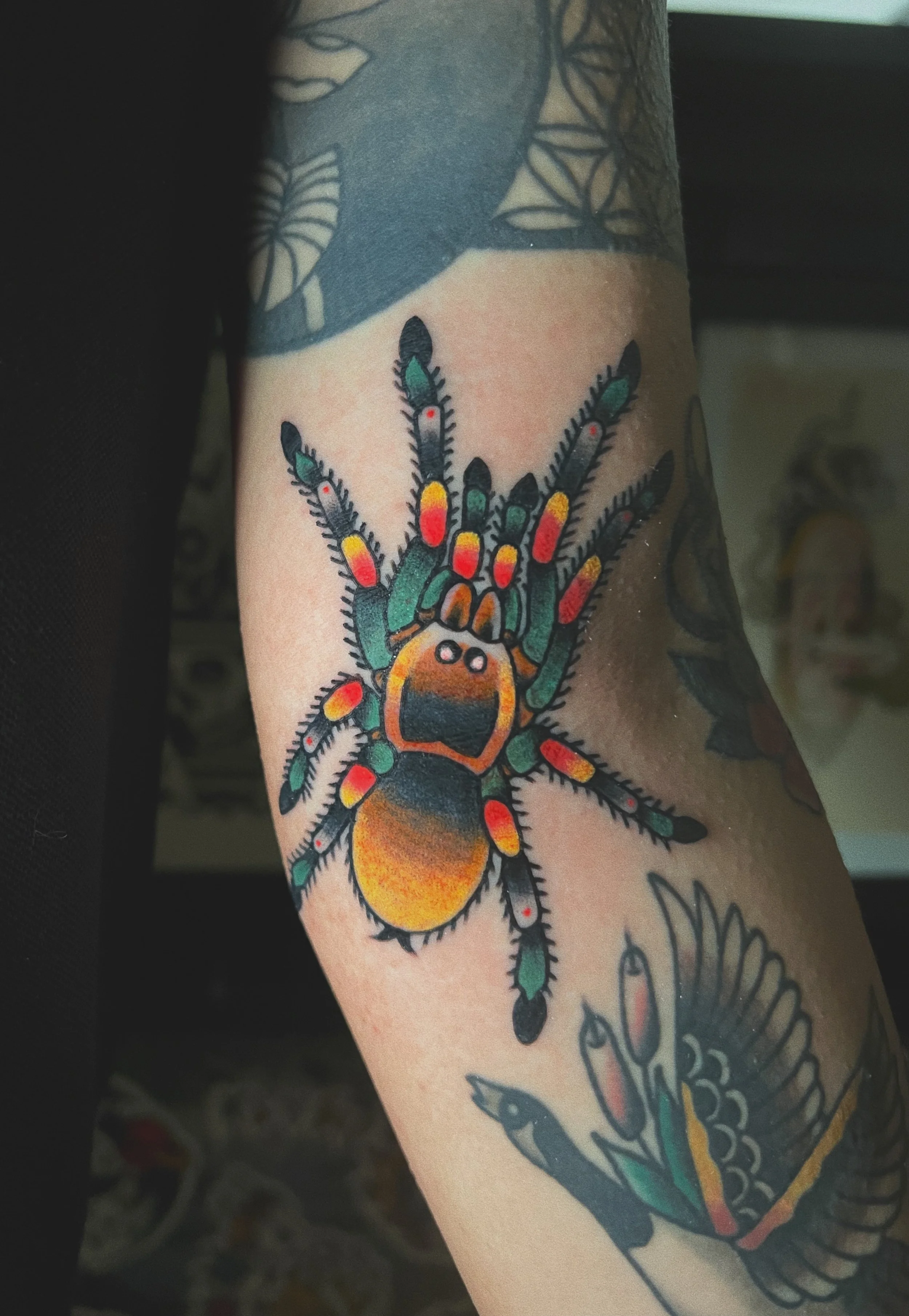 American traditional tarantula tattoo - spider tattoo-mexican tarantula tattoo 