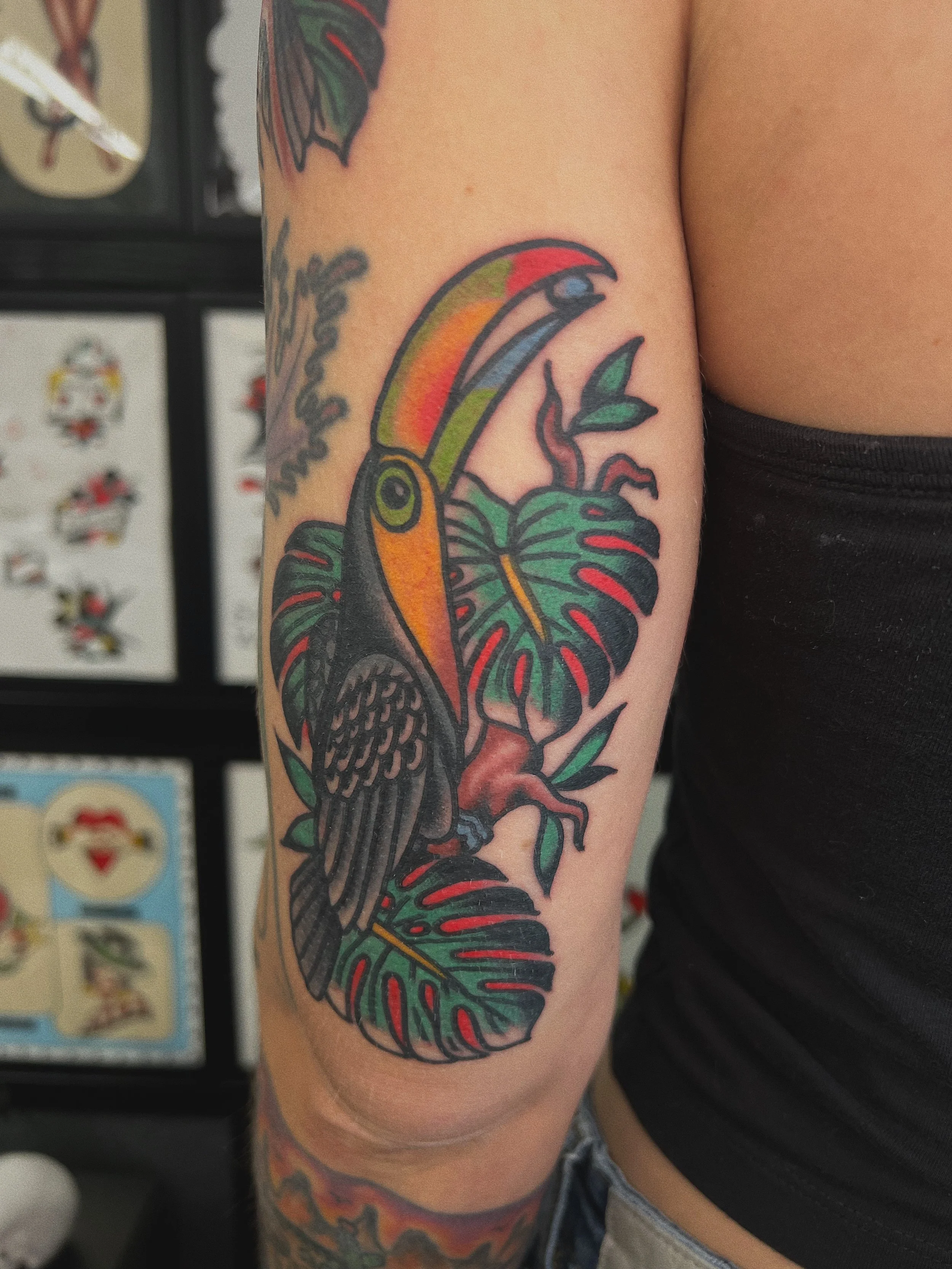 American Traditonal toucan tattoo in color on arm 