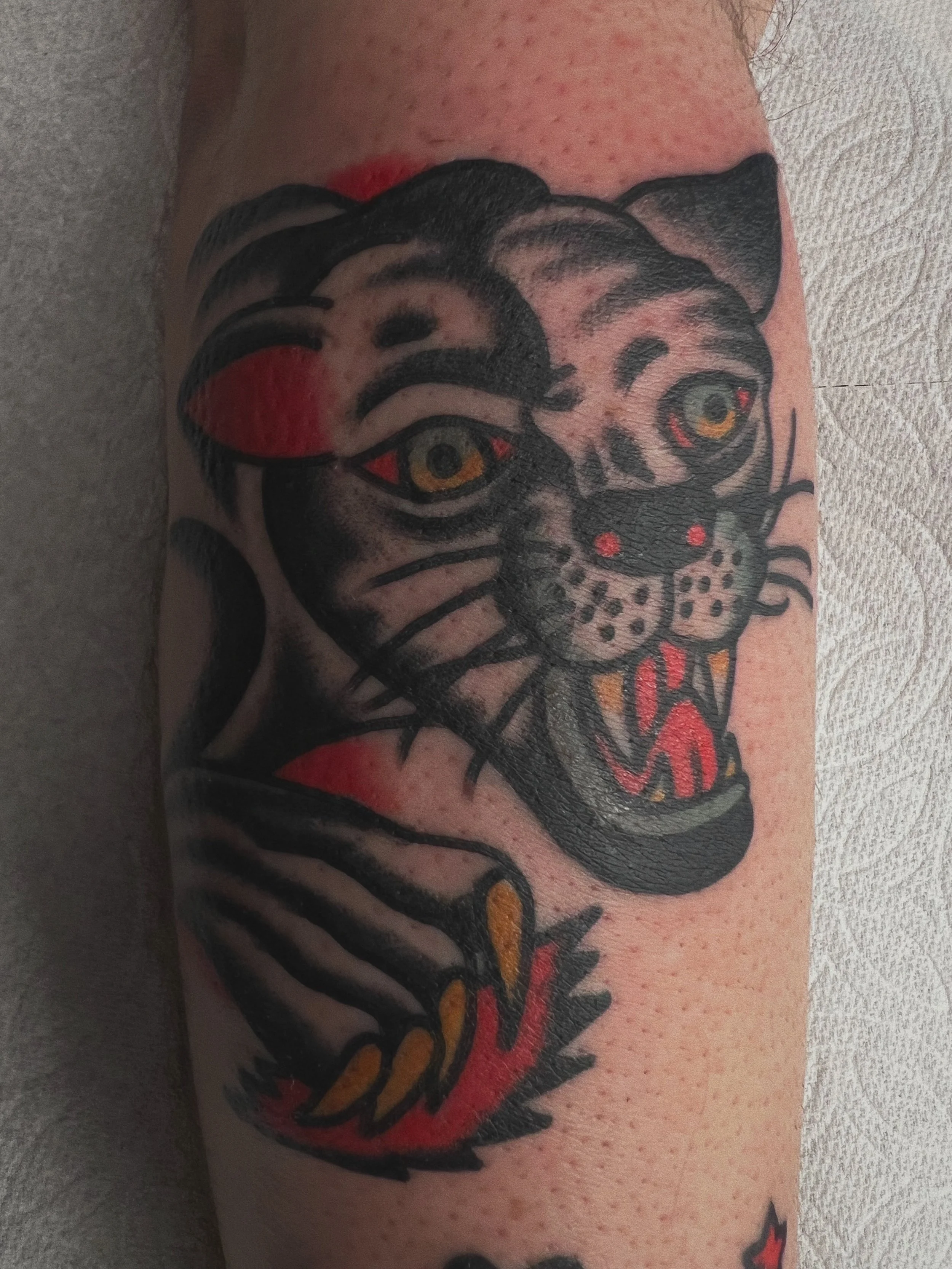 American traditional panther tattoo in color 