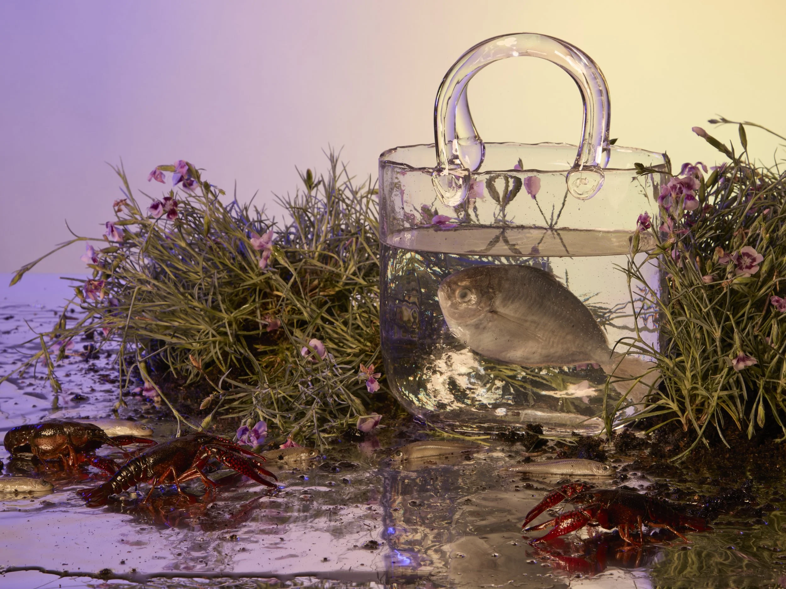 glass purse weber Misterek photo water
