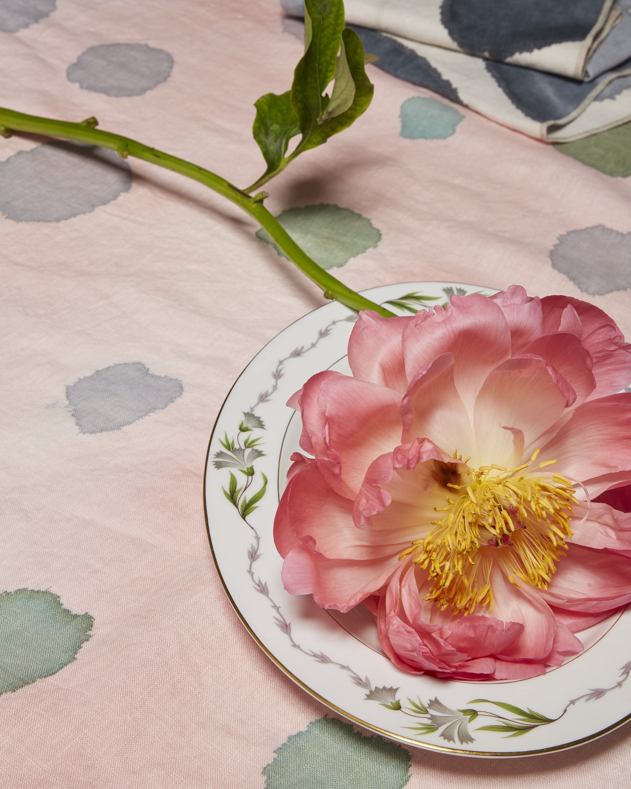 product photography peony plate napkins art