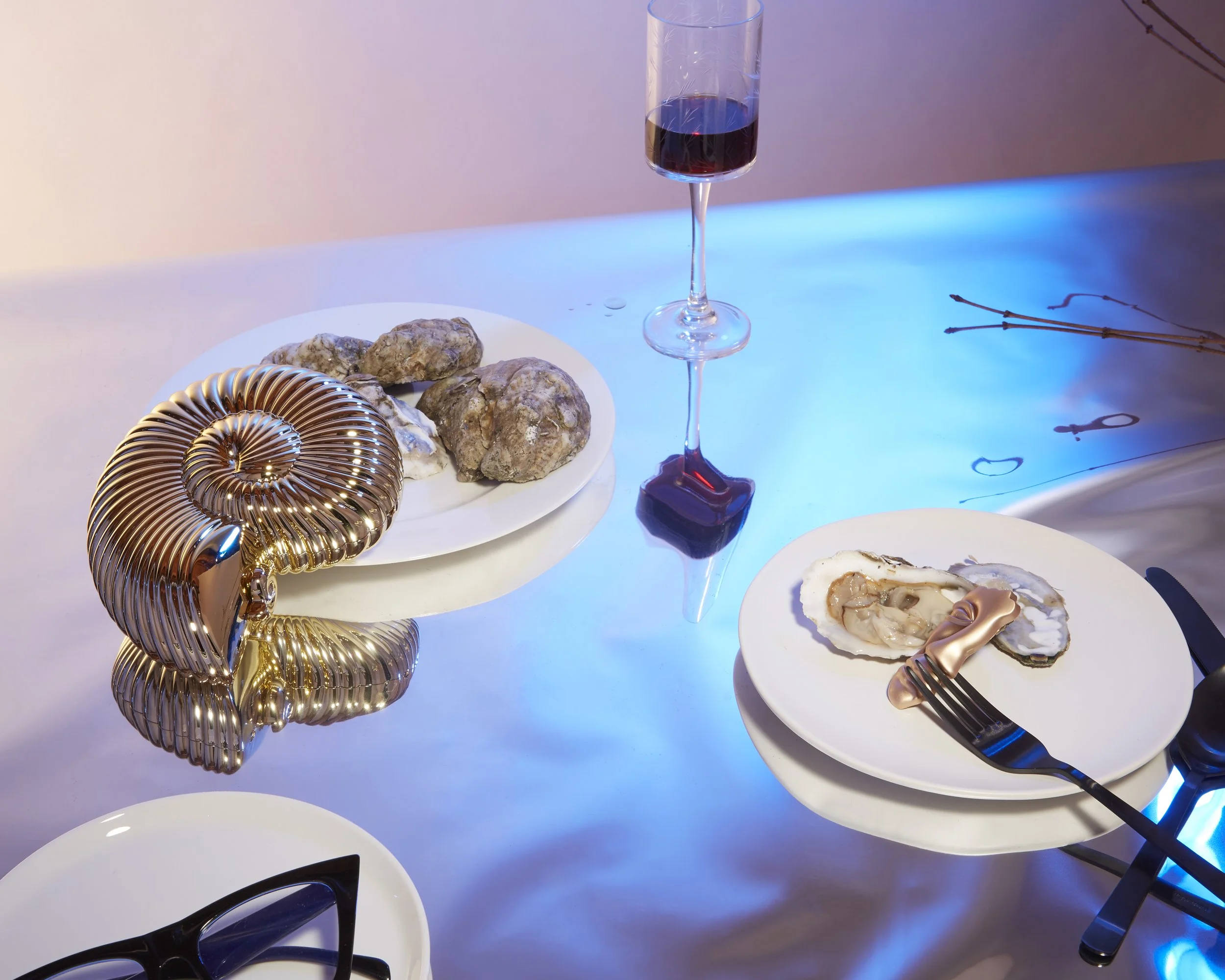 conch purse oysters glasses art photo
