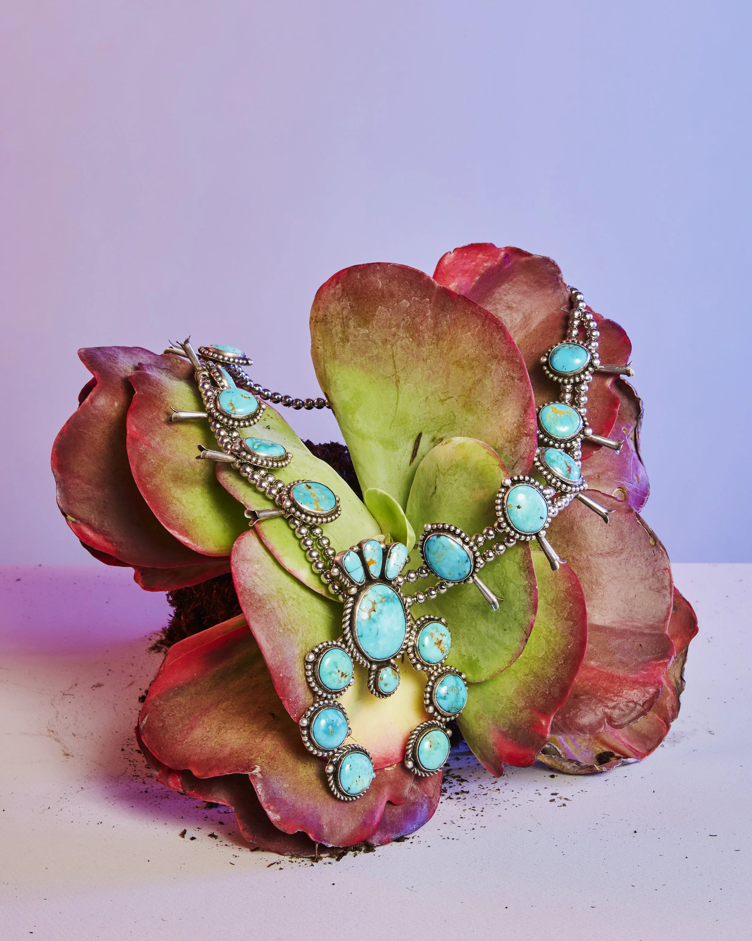 imagery photo succulent turquoise jewelry still life product