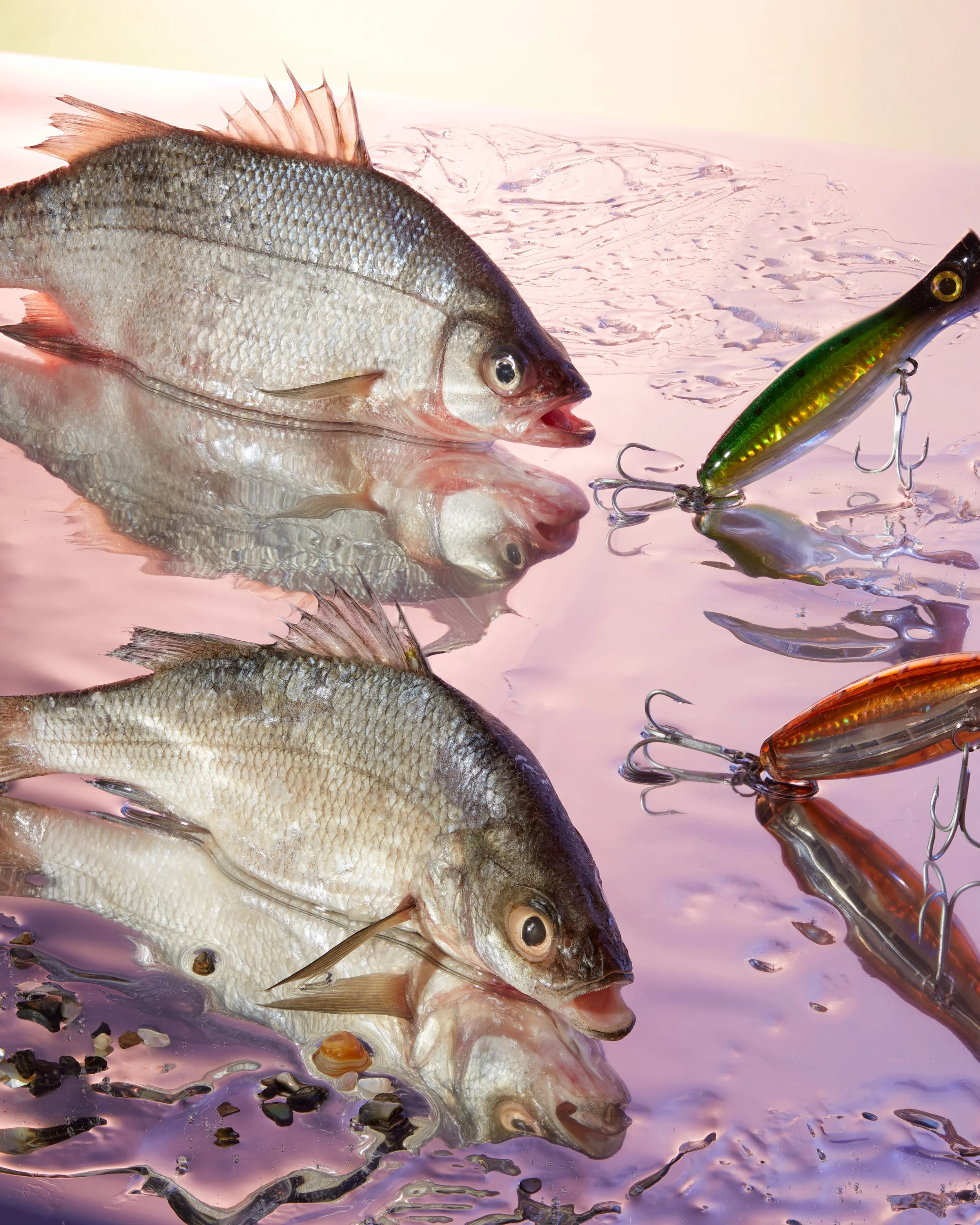 Creative Concepting Rapala and Stike King for advertising editorial, advertorial by Gabe Weber and Hope Misterek