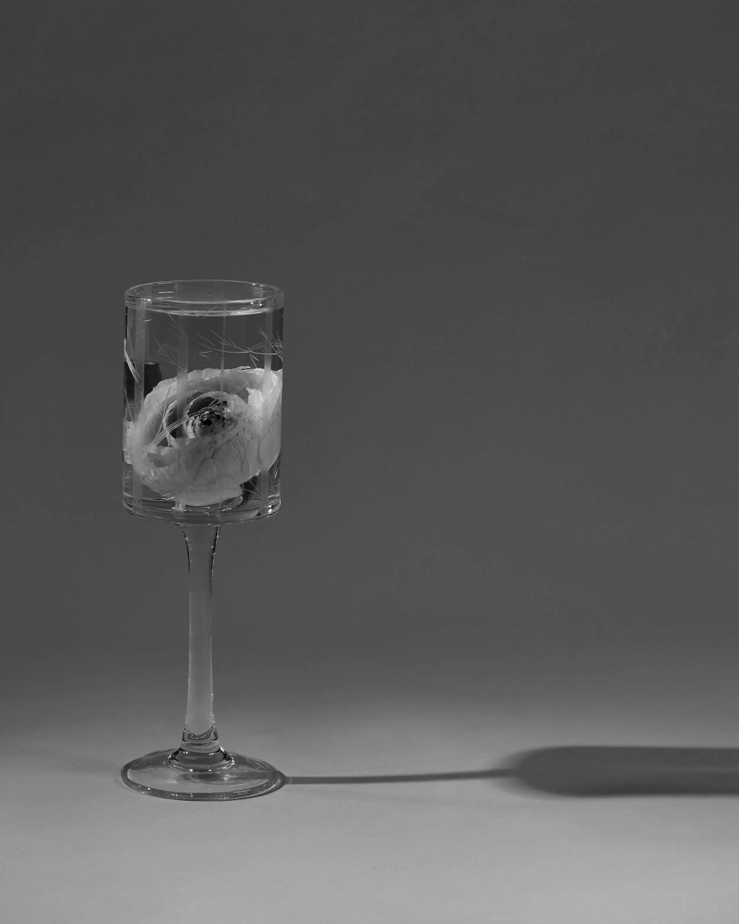 A black and white photo of a wine glass with a single white flower inside, placed against a plain backdrop. photography produced by Hope Misterek fashion interior prop and set designer and Gabrielle Gabe Weber photographer and artistic director