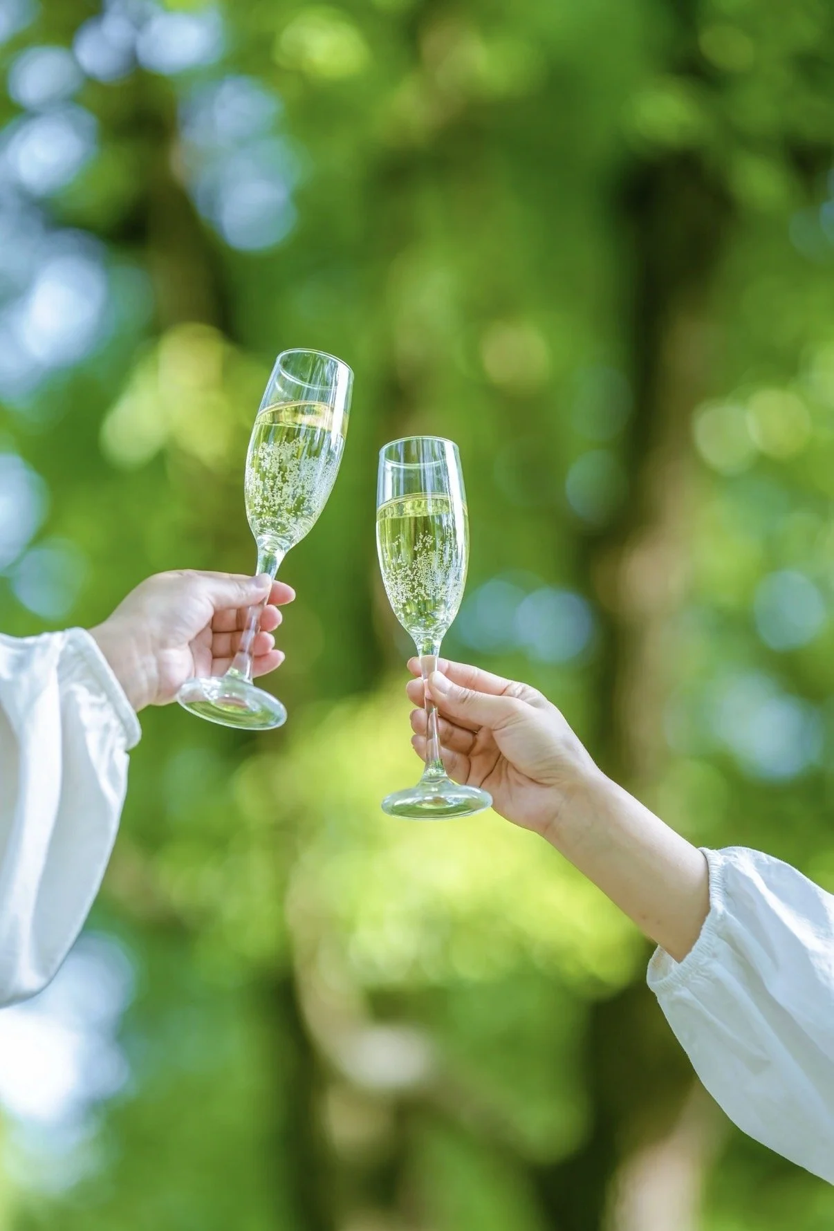 Two people holding champagne flutes filled with bubbly, celebrating outdoors with a blurred green leafy background.