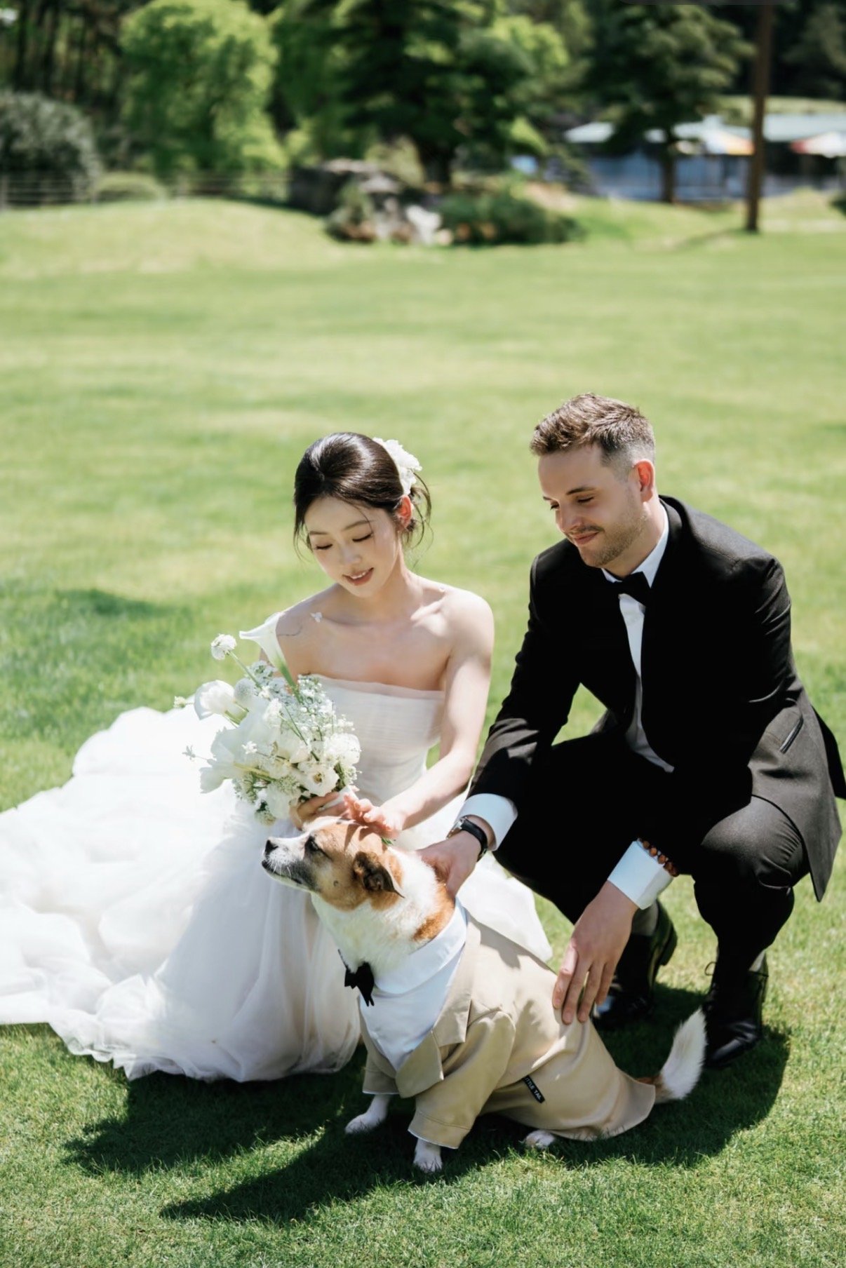 A bride and groom in wedding attire outdoors on a lush green lawn, petting a dog dressed in a tuxedo, with trees and a building in the background.