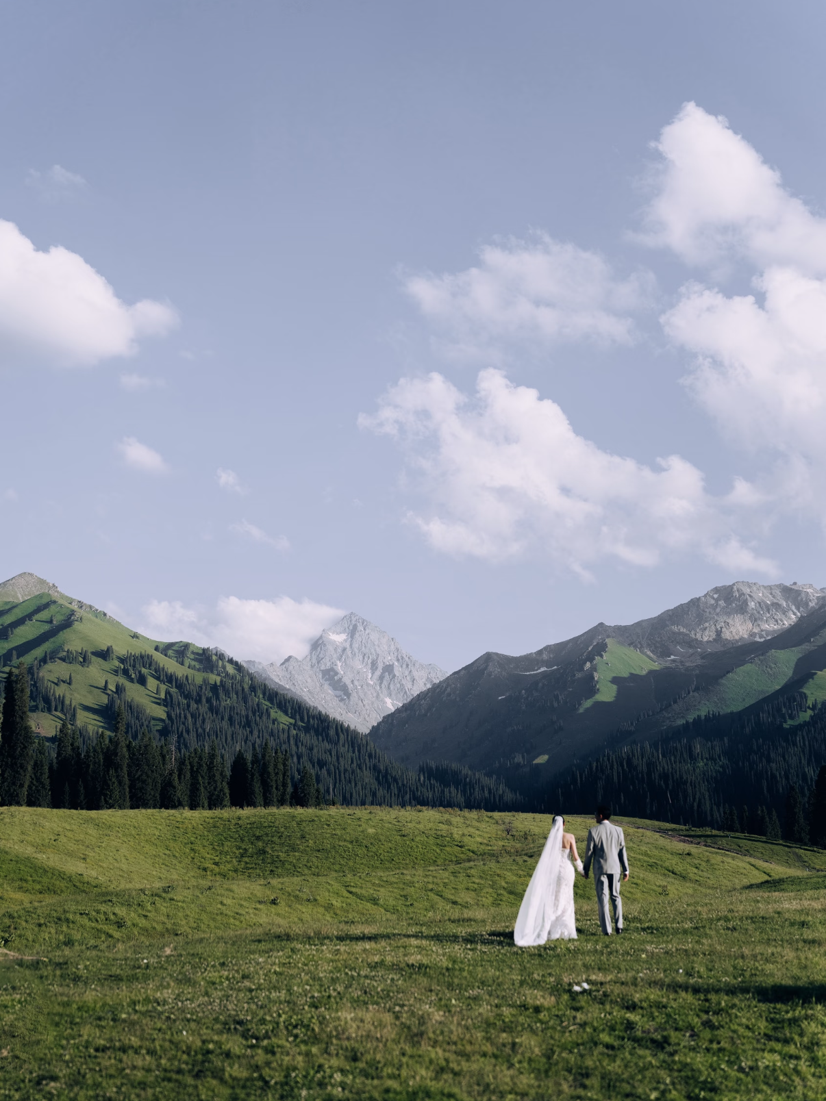 A bride and groom walking hand in hand across a green meadow with mountains in the background under a partly cloudy sky.