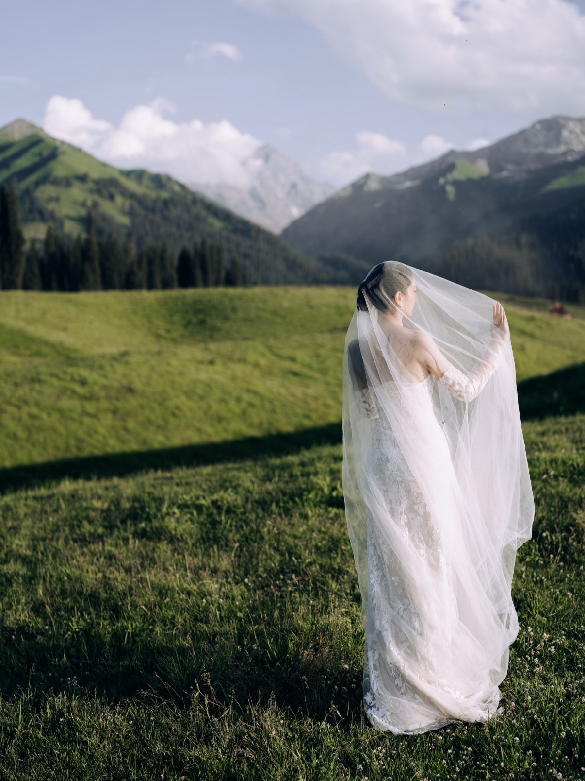 A woman in a wedding dress with a veil standing in a lush green field with mountains and cloudy sky in the background.