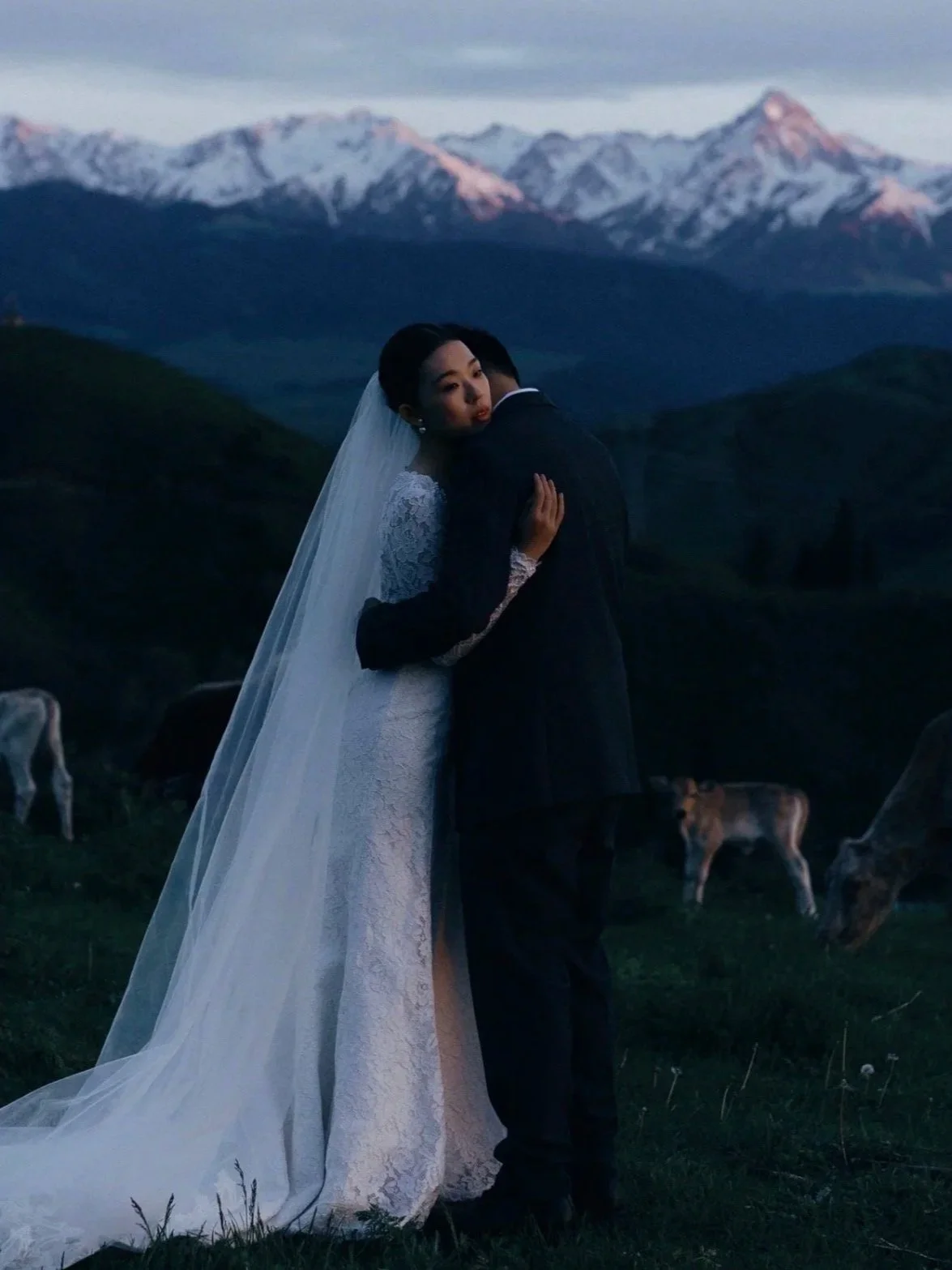 A bride and groom embracing outdoors at dusk, with snow-capped mountains in the background and cows grazing nearby.