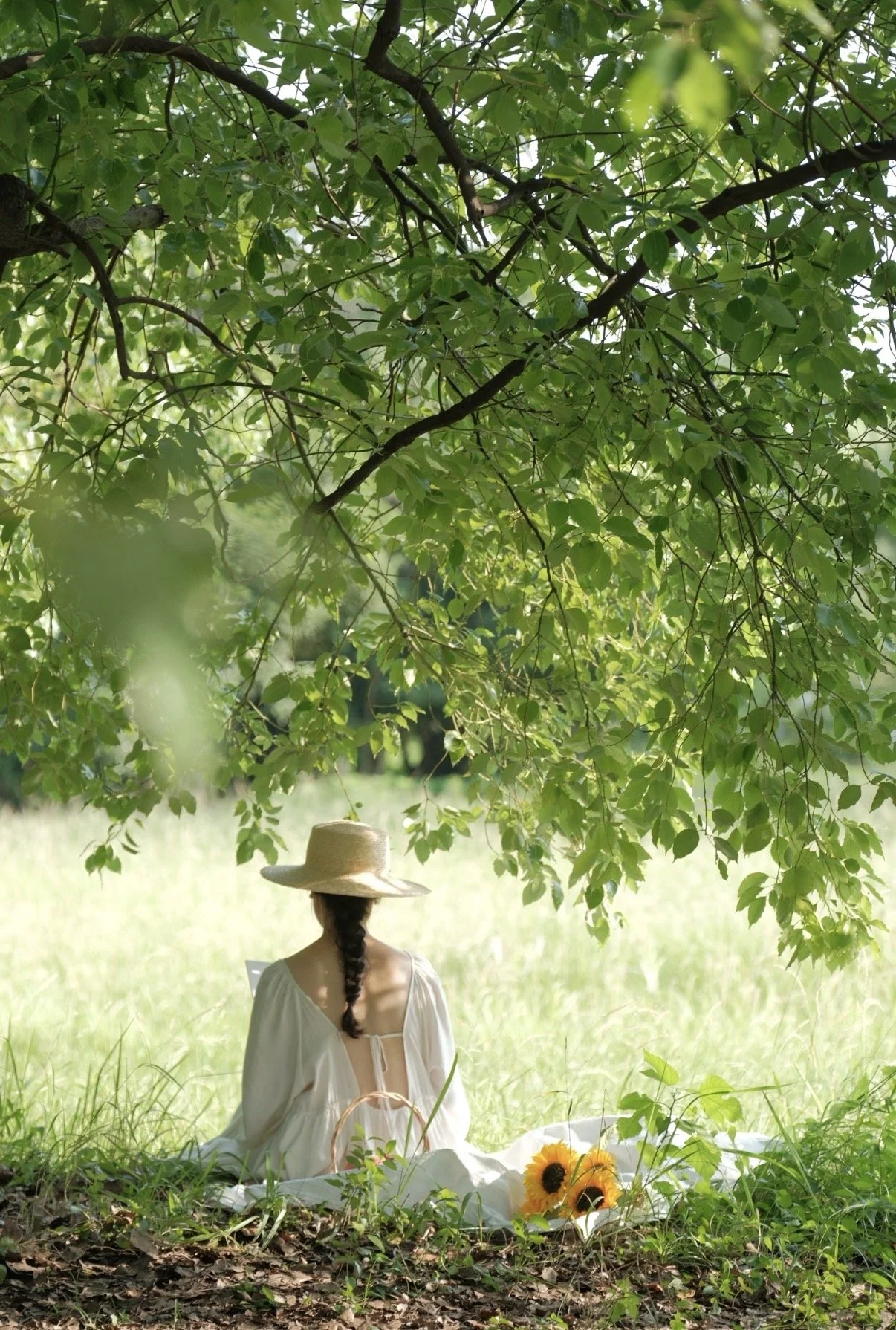 A woman sitting on a white blanket under a large leafy tree, wearing a wide-brimmed hat and a white dress, holding sunflowers in a grassy field.