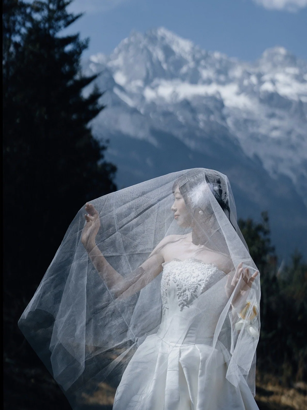A bride in a white wedding gown with lace details, holding a sheer veil over her face, standing outdoors with snow-covered mountains in the background.