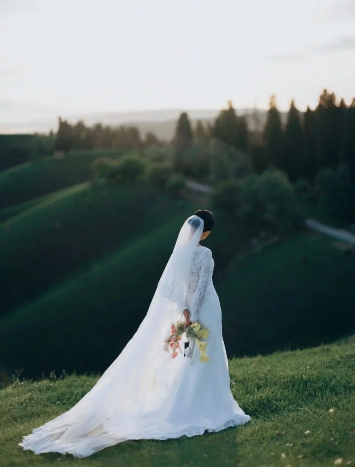 A bride in a white wedding dress and veil holding a bouquet of flowers standing outdoors on a grassy hill, with a background of trees and rolling hills under a cloudy sky.